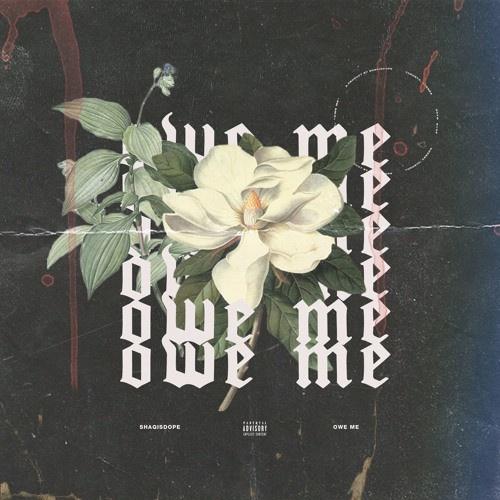 Owe Me (Prod. Pitt Tha Kid & Felix Leone)