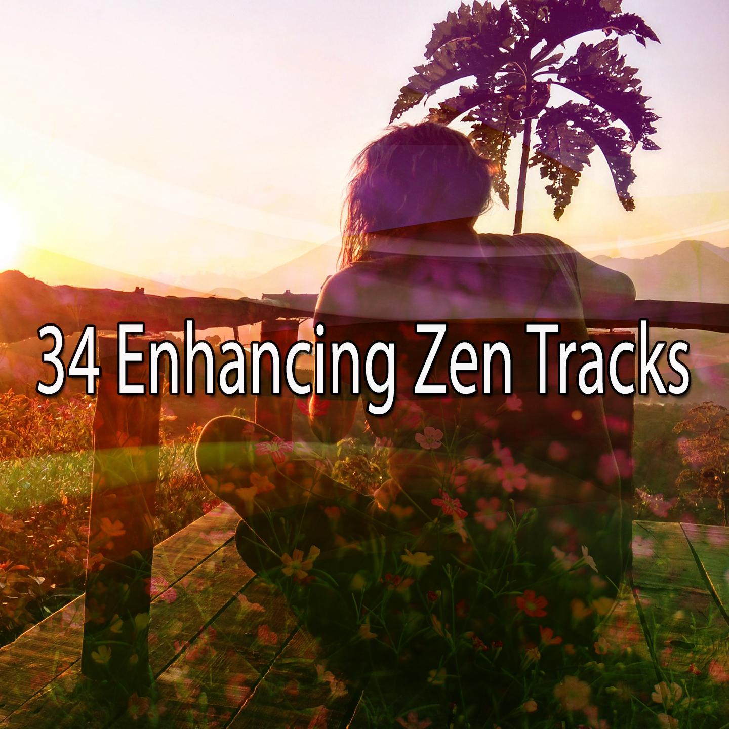 34 Enhancing Zen Tracks