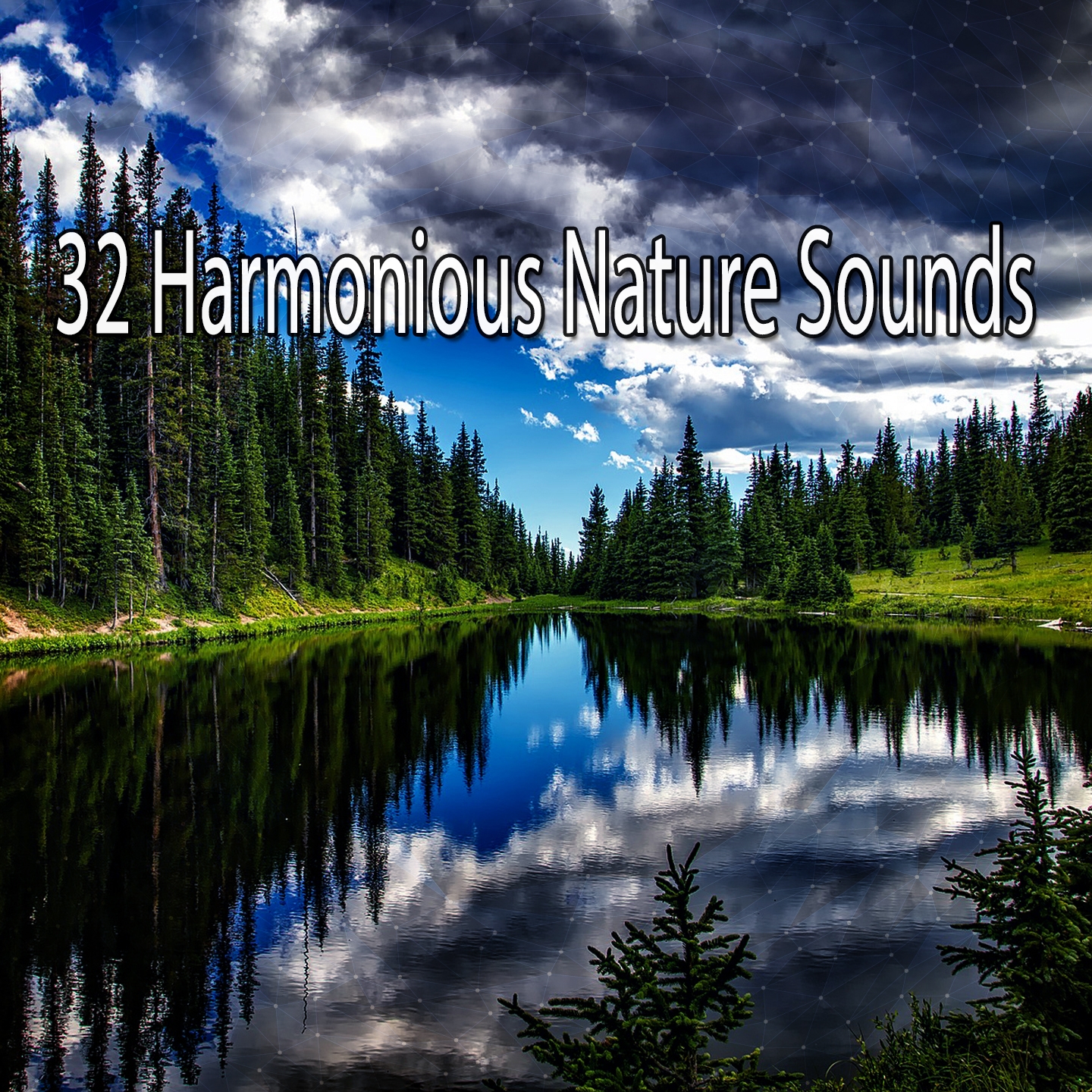 32 Harmonious Nature Sounds