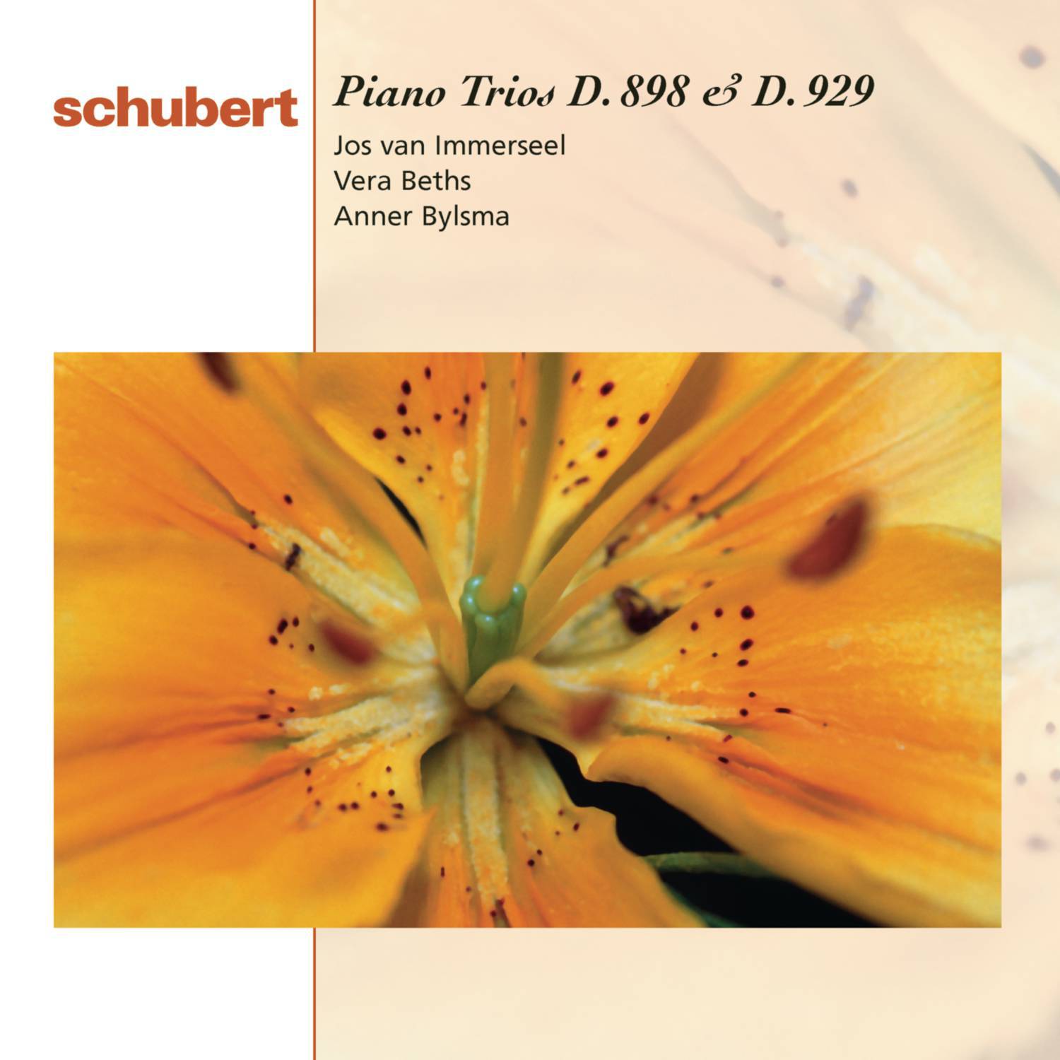 Piano Trio No. 1 in B-Flat Major, D. 898, Op. 99: I. Allegro moderato