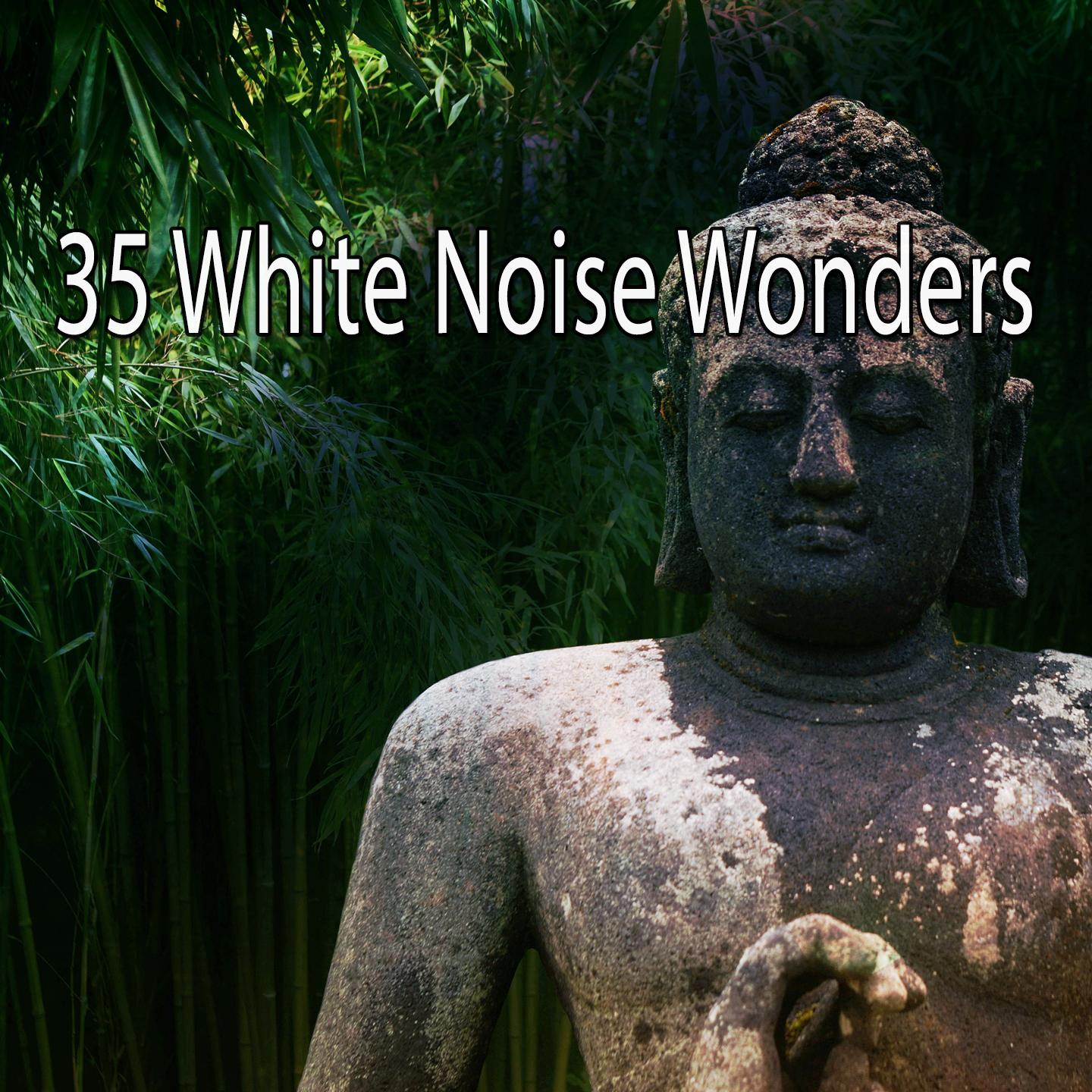 35 White Noise Wonders