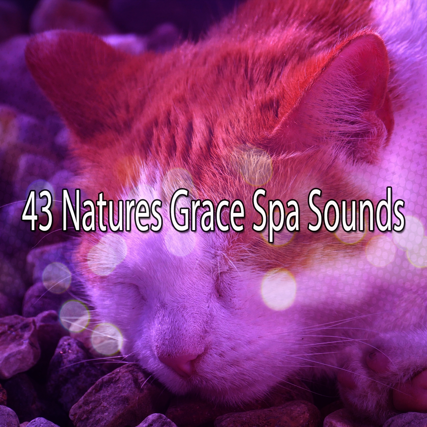 43 Natures Grace Spa Sounds