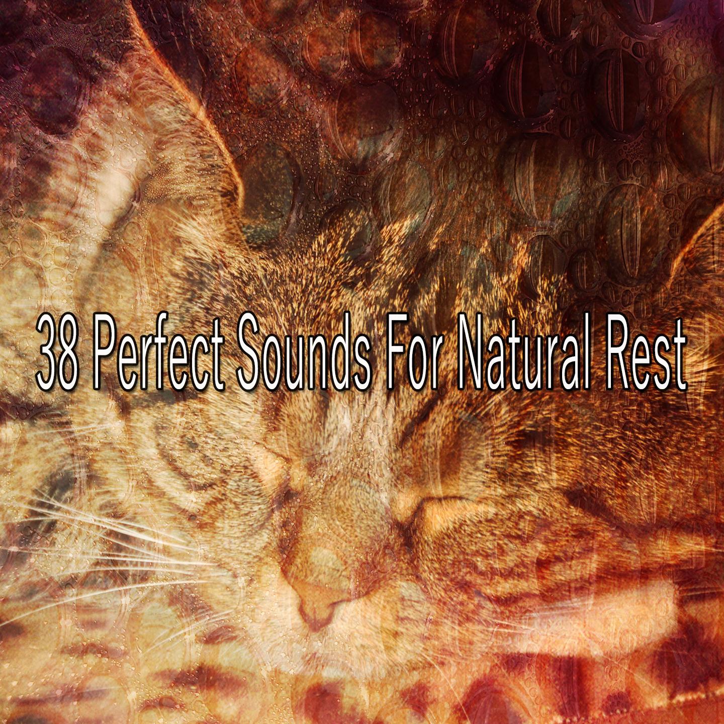 38 Perfect Sounds For Natural Rest