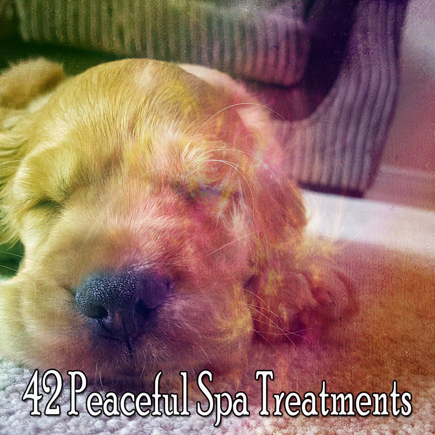 42 Peaceful Spa Treatments