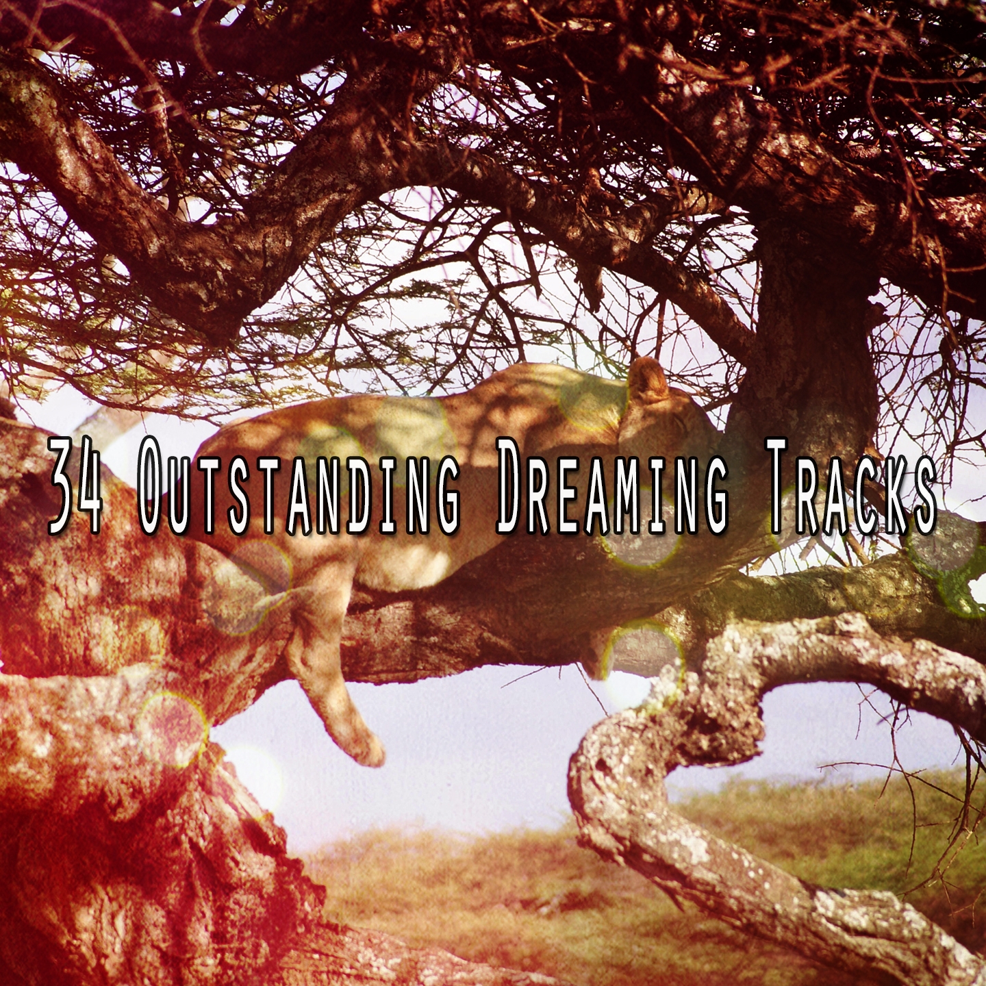 34 Outstanding Dreaming Tracks