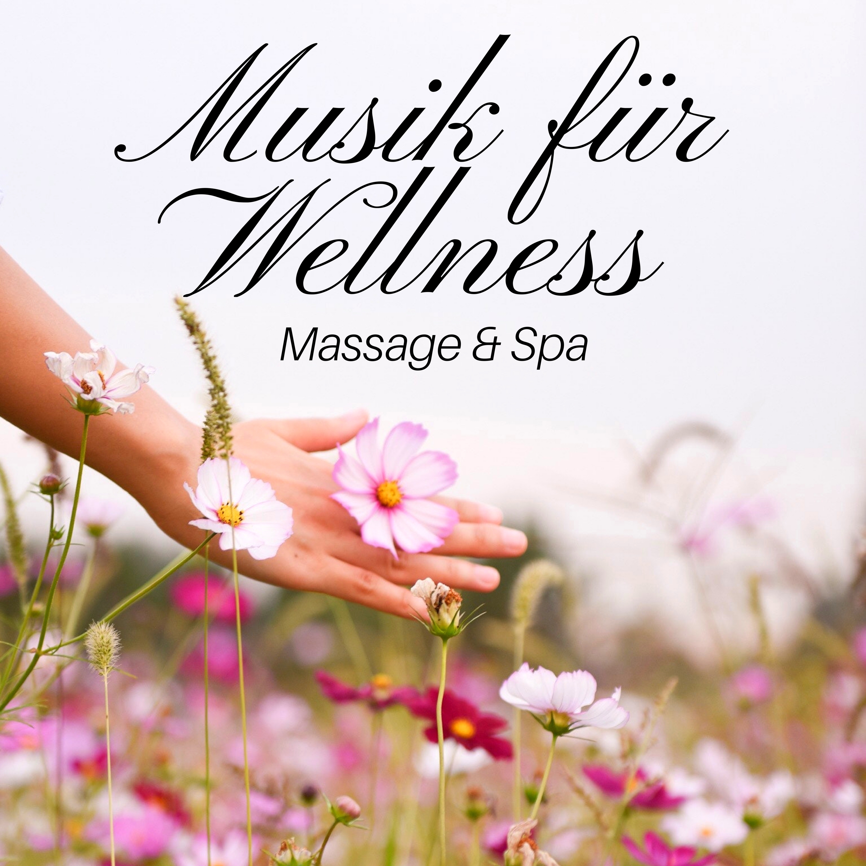 Musik fü r Wellness