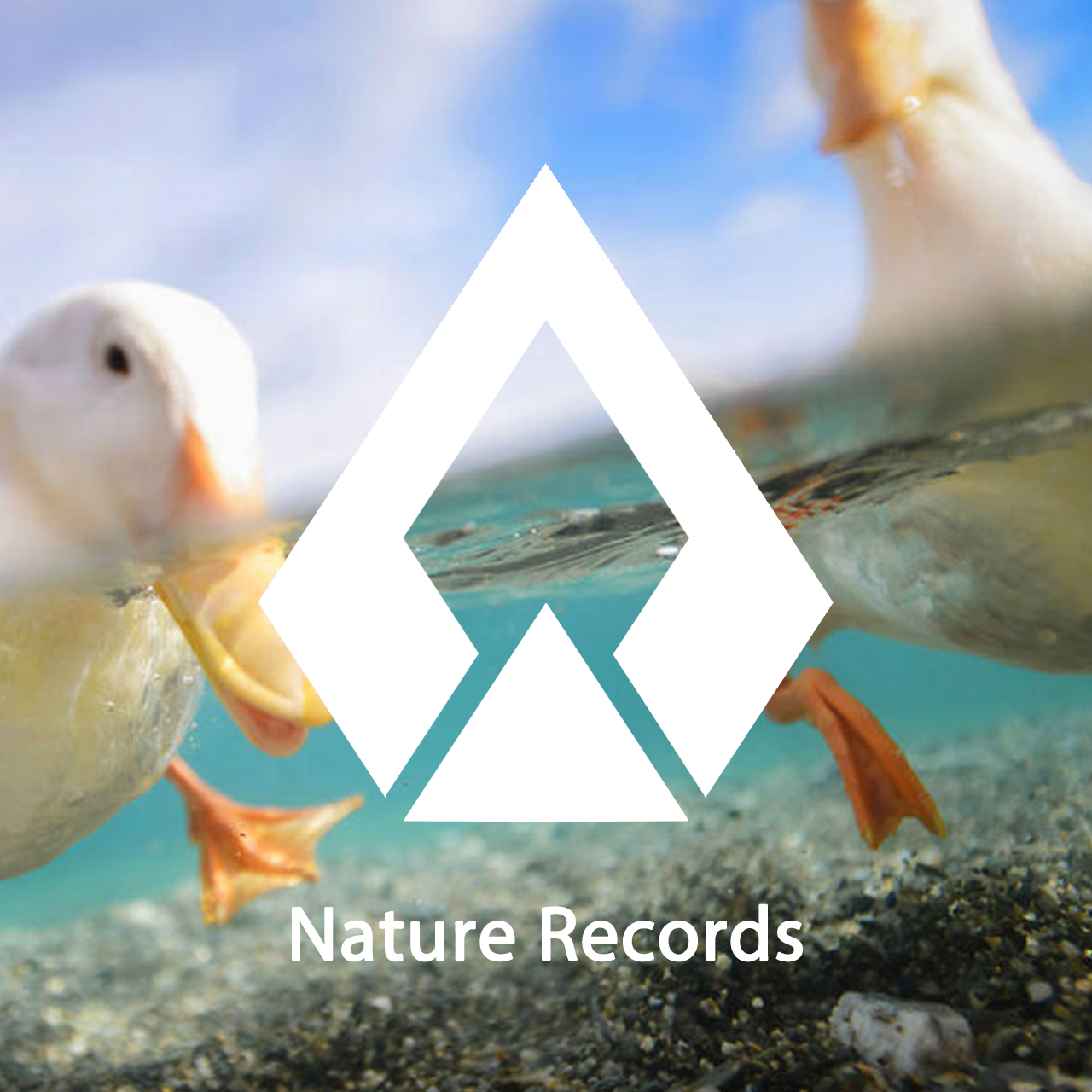 Innocence LaRry Rong Remix