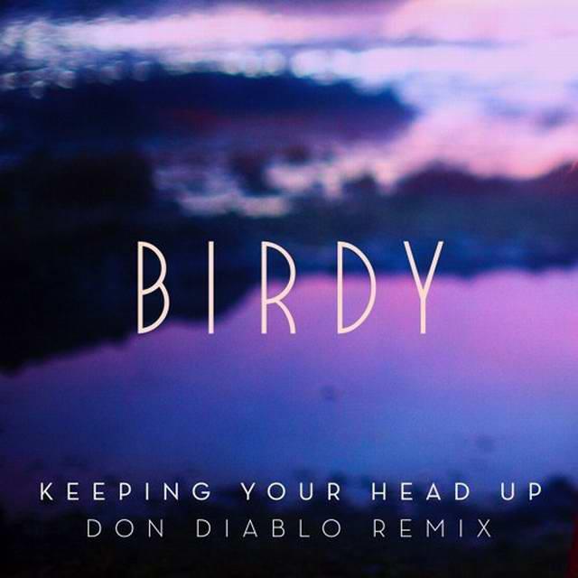 Keeping Your Head Up (Don Diablo Remix)