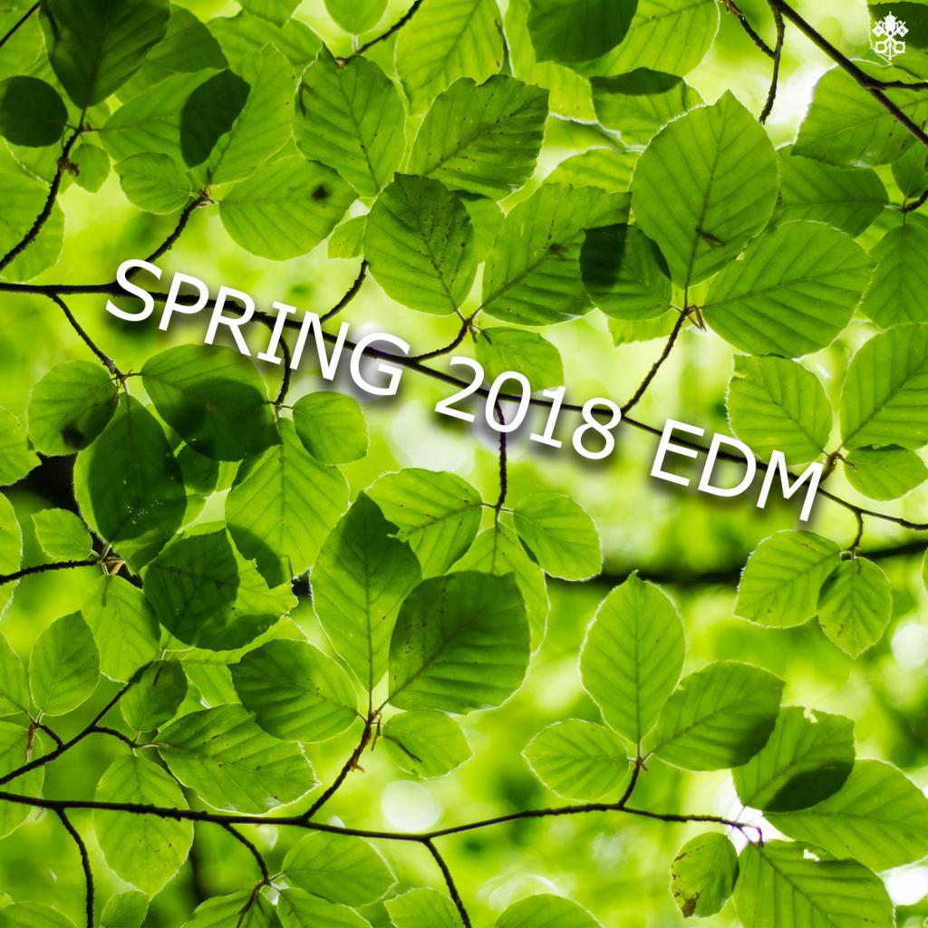 Spring 2018 EDM