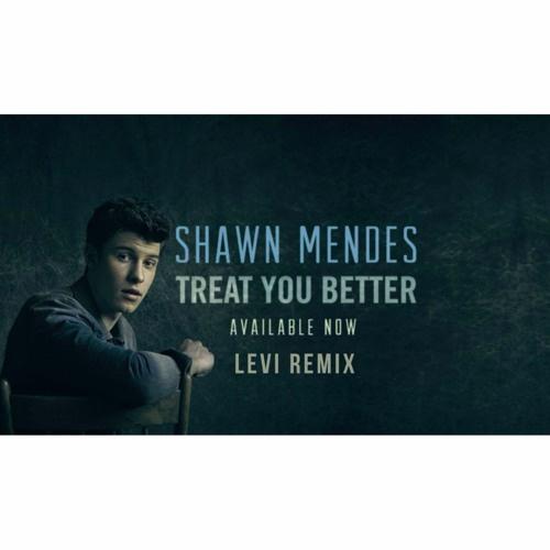 Treat You Better (Levi Remix)