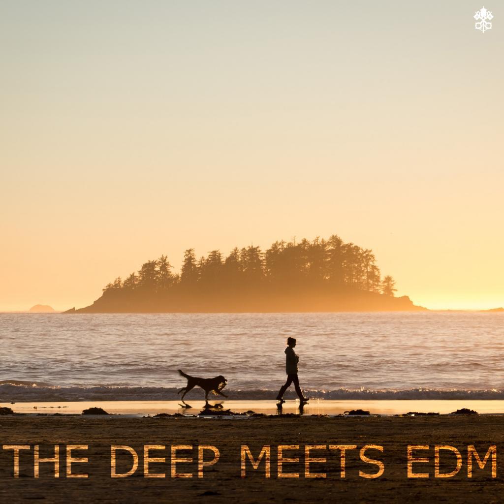 The Deep Meets EDM