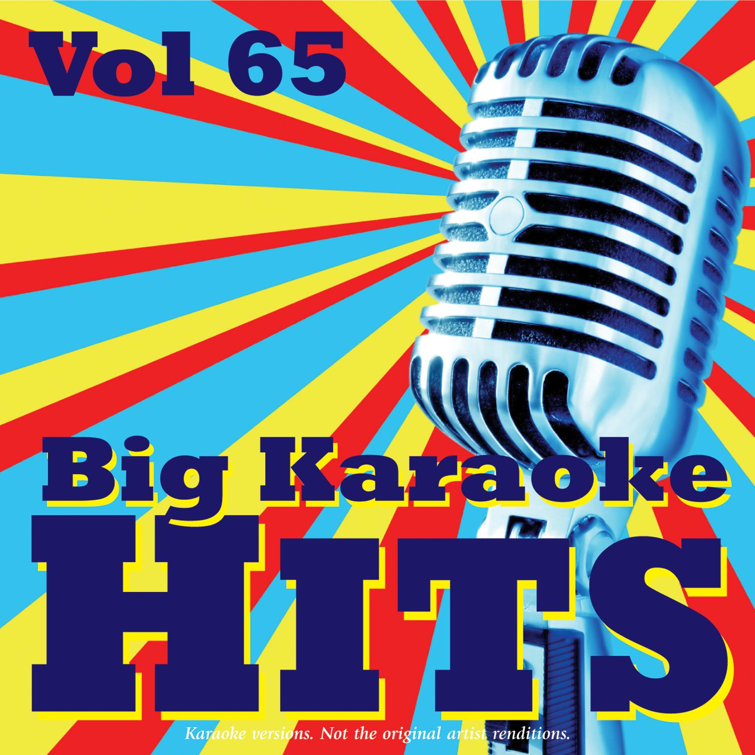 Big Karaoke Hits Vol.65