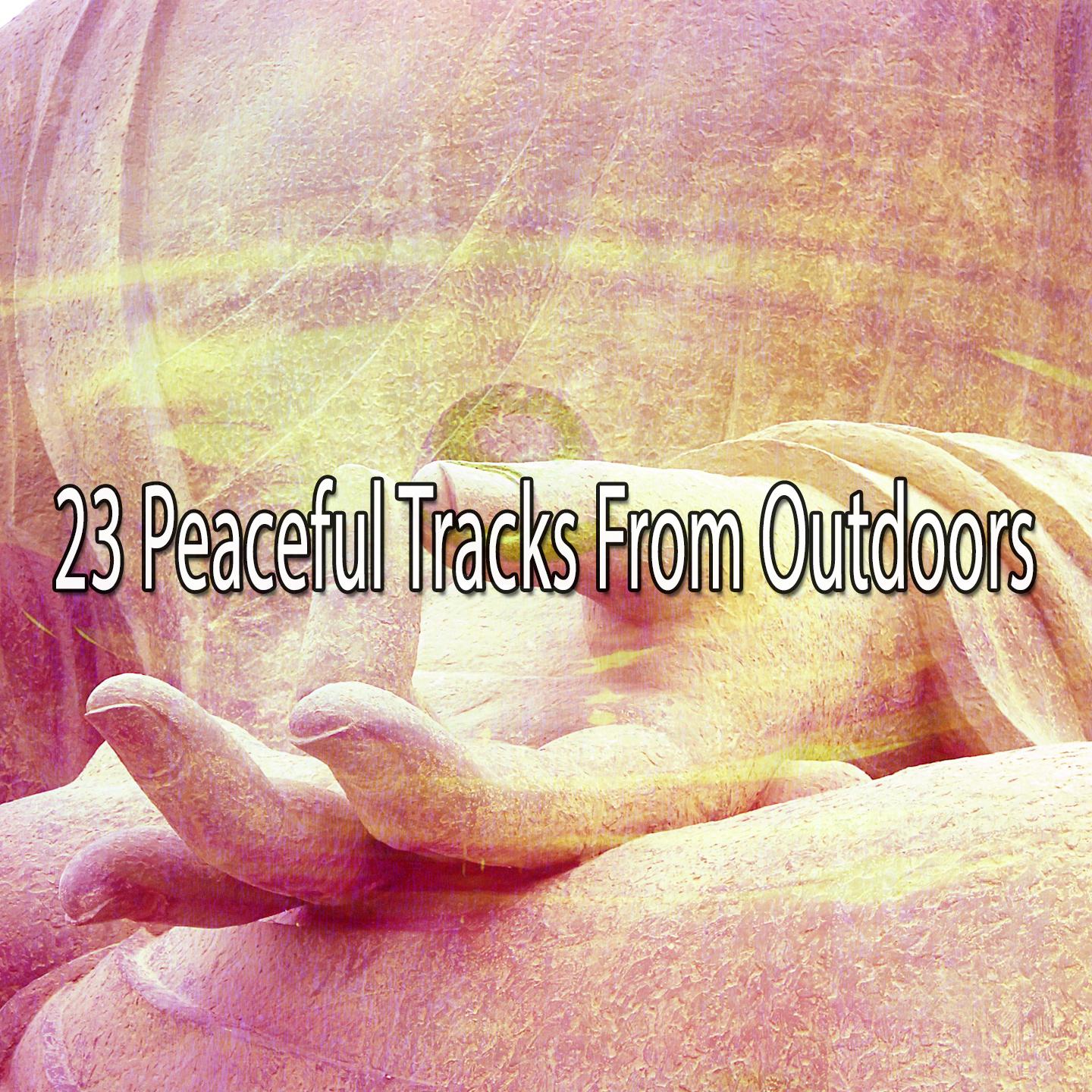 23 Peaceful Tracks From Outdoors