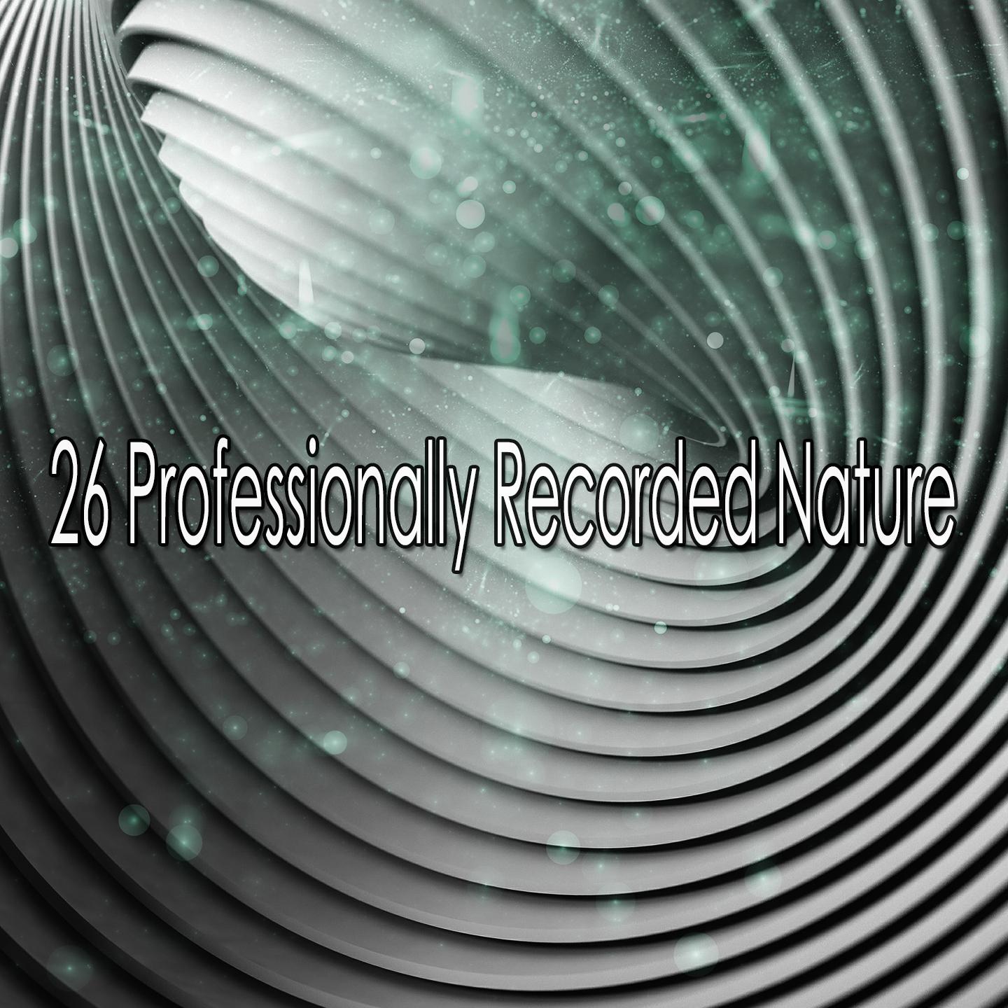26 Professionally Recorded Nature