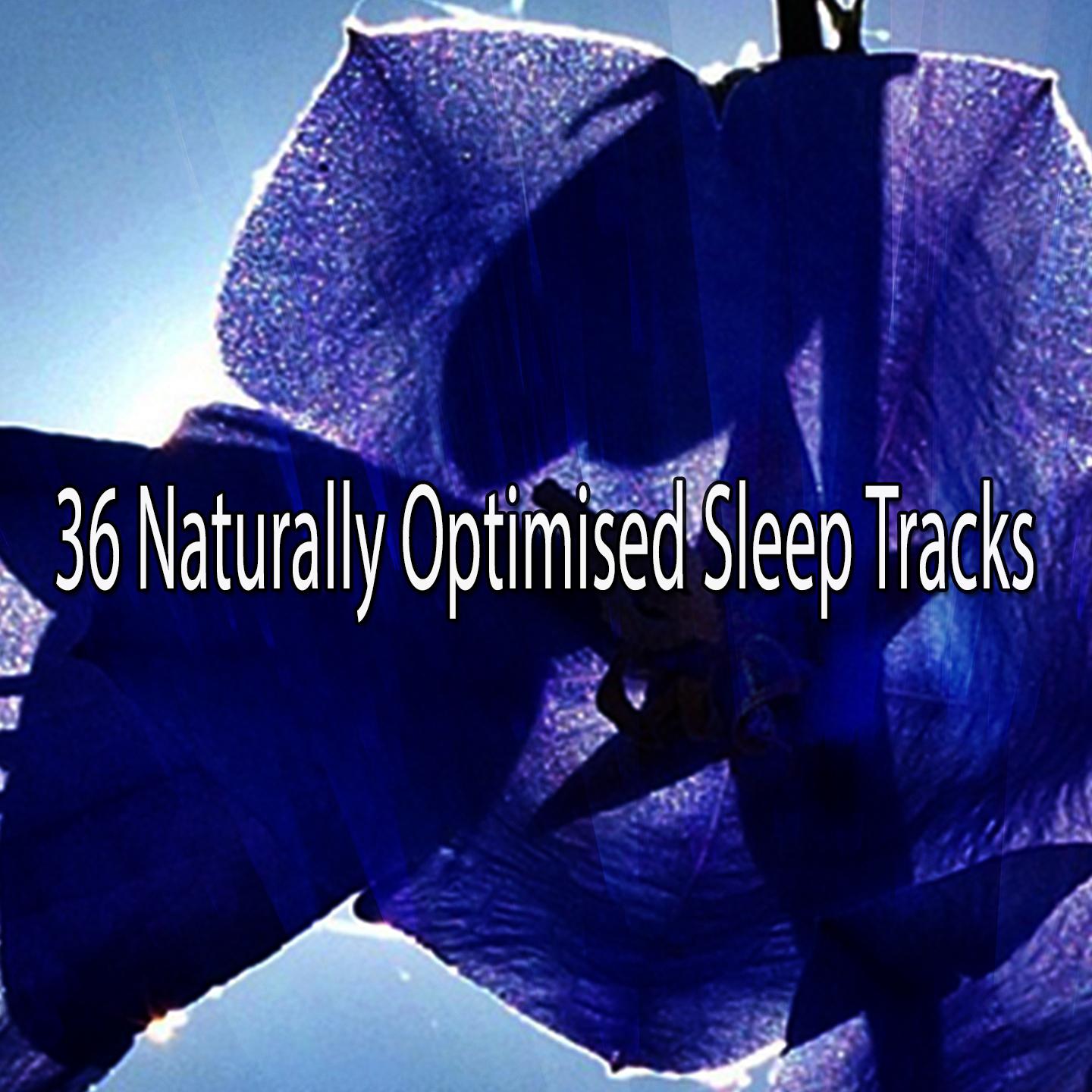 36 Naturally Optimised Sleep Tracks