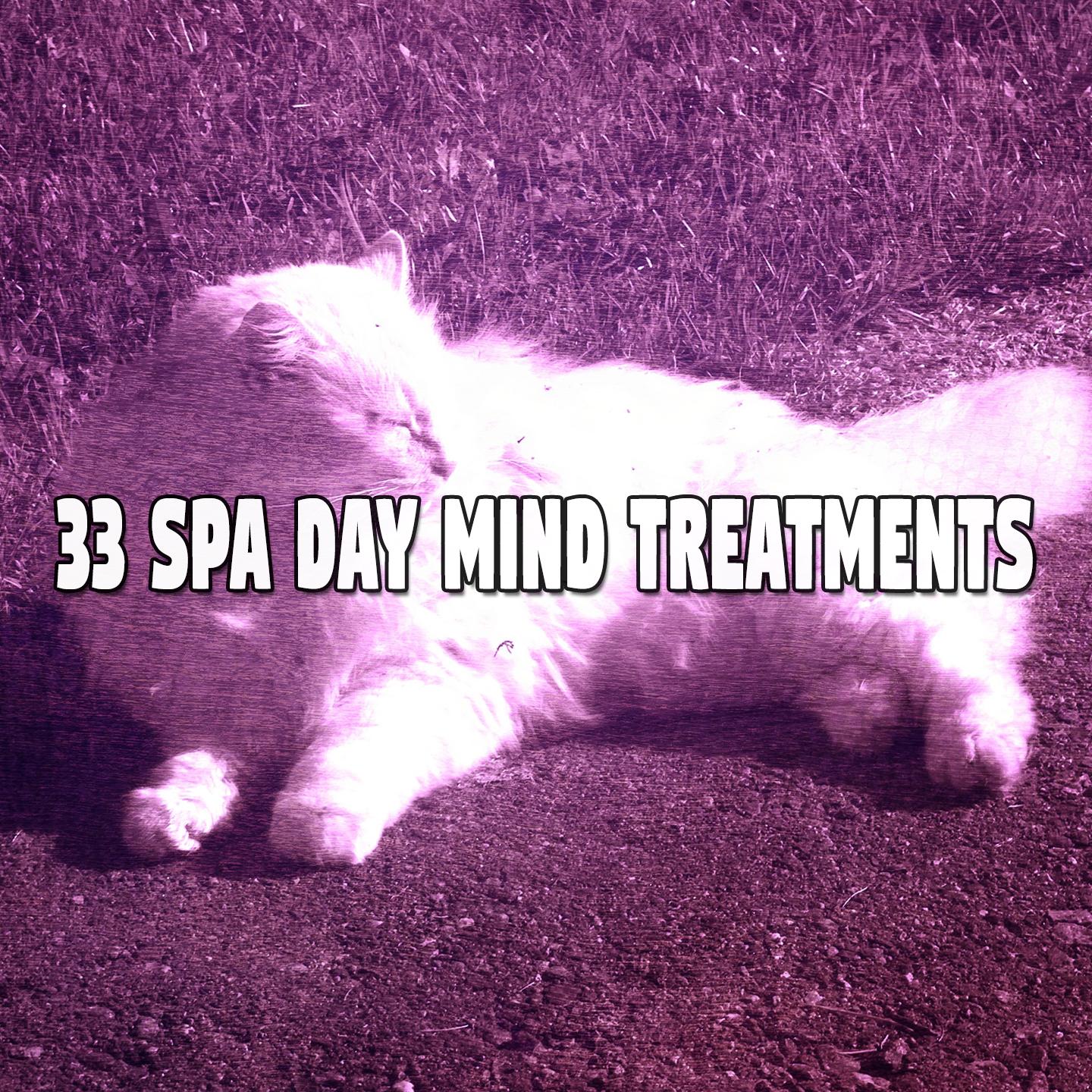 33 Spa Day Mind Treatments