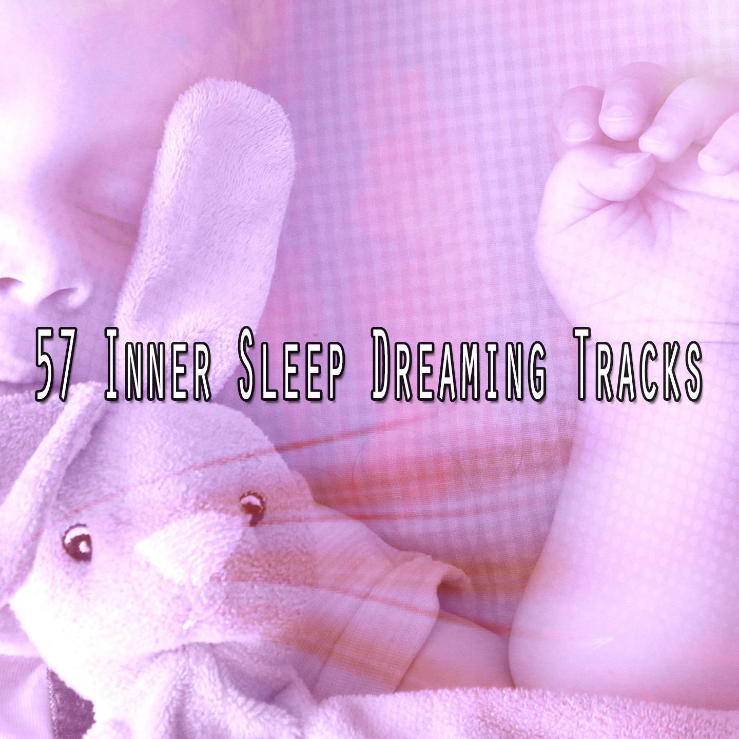 57 Inner Sleep Dreaming Tracks
