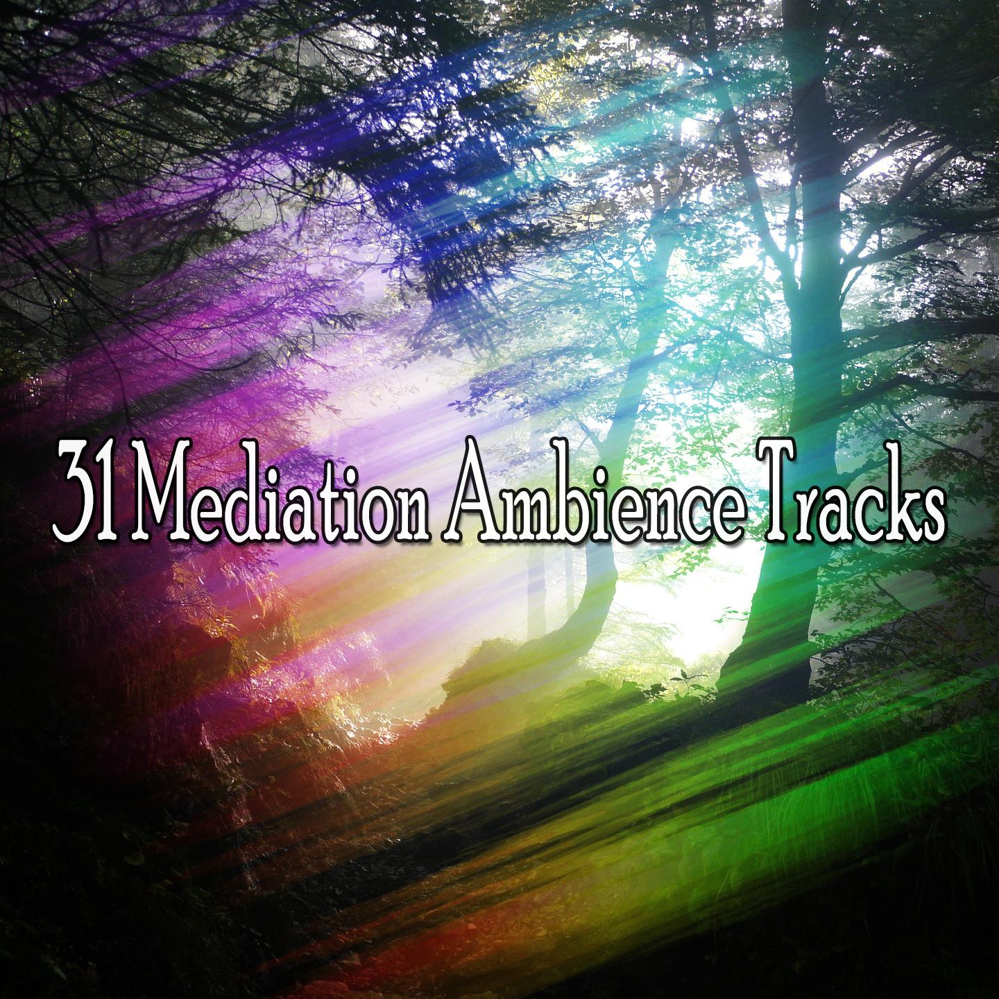 31 Mediation Ambience Tracks