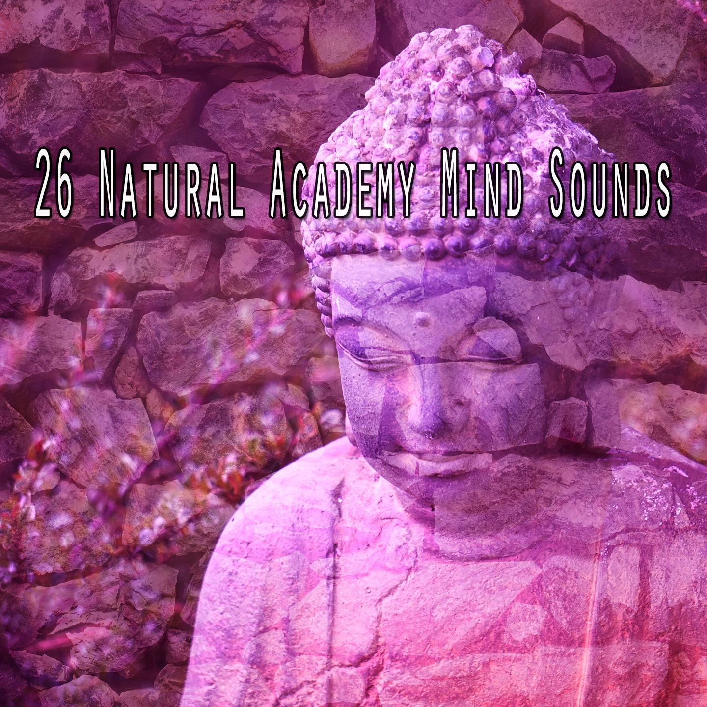 26 Natural Academy Mind Sounds