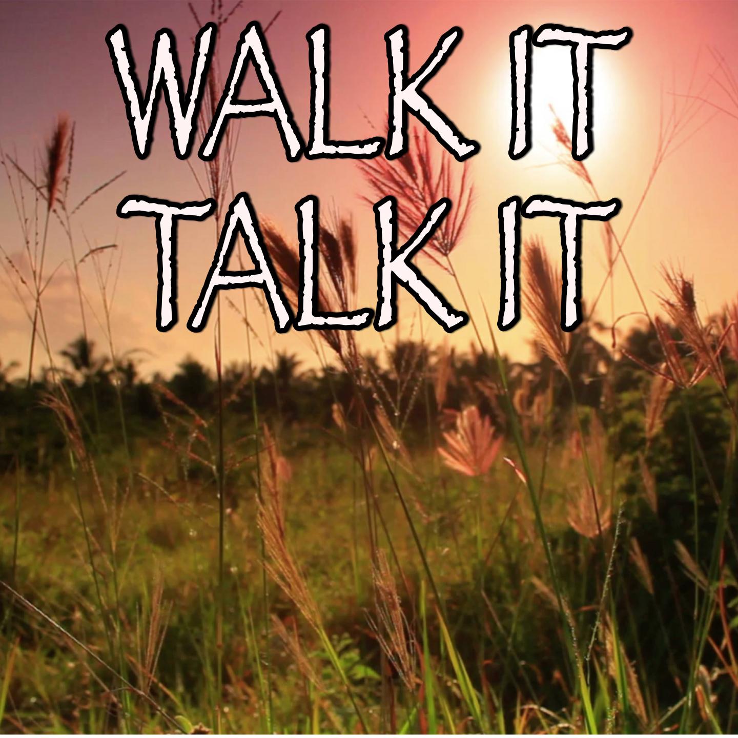 Walk It Talk It - Tribute to Migos and Drake