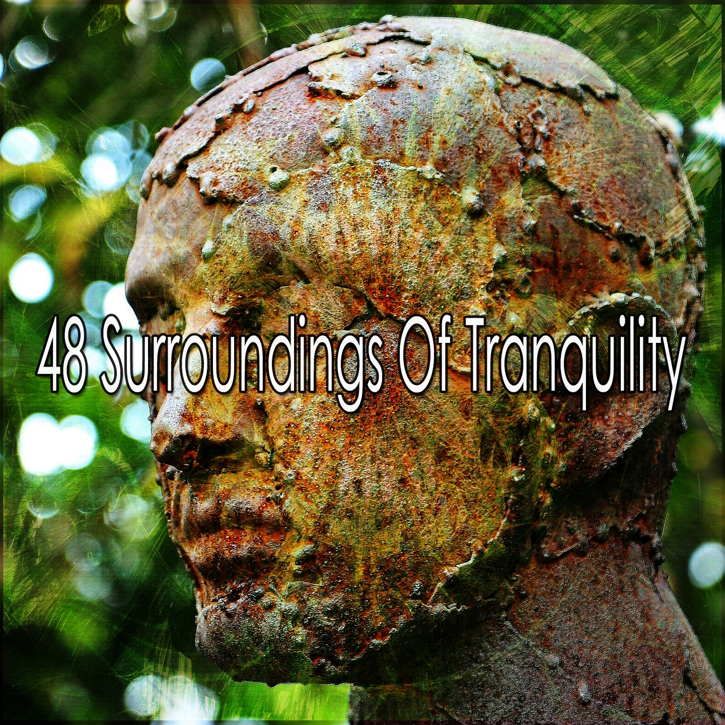 48 Surroundings Of Tranquility
