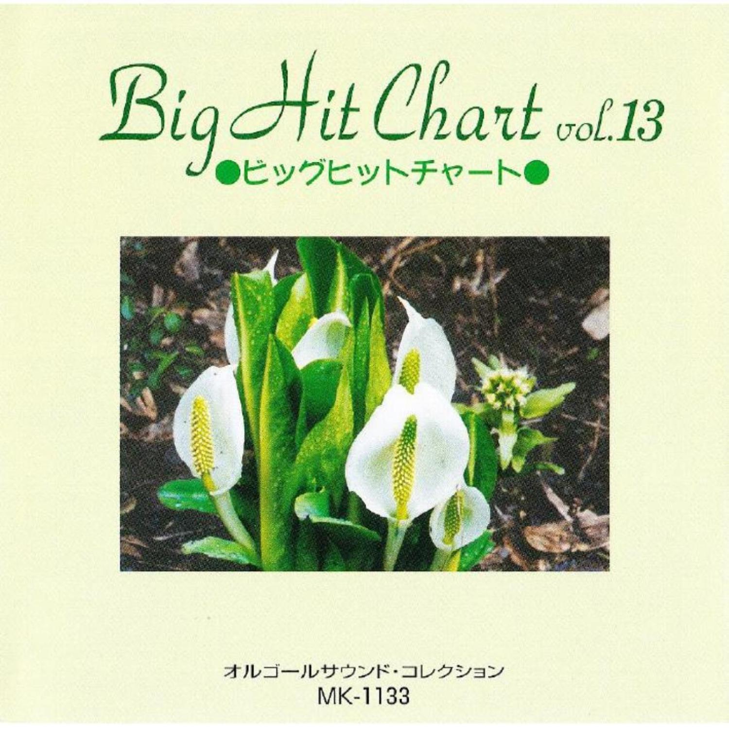 Big Hit Chart Vol.13