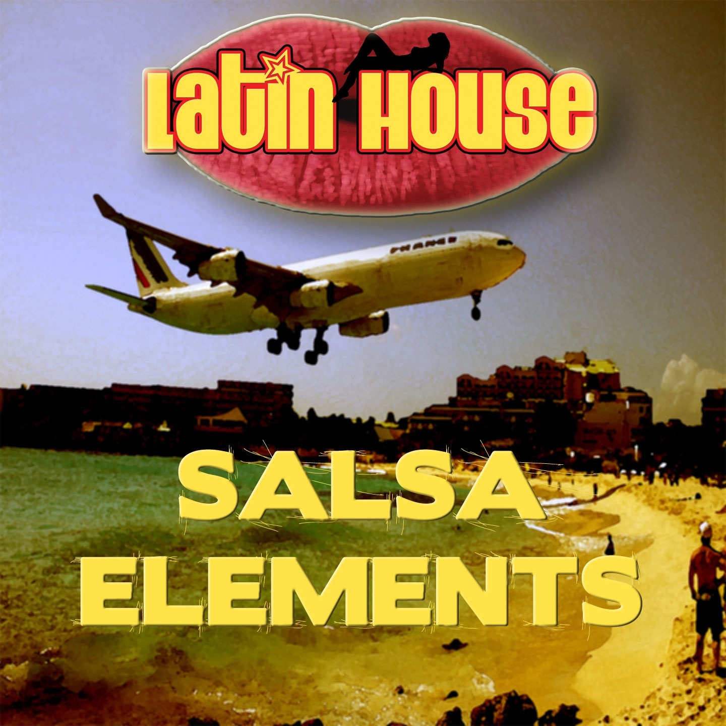 Salsa Elements (2 Bro-K Extended Shaking Remix)