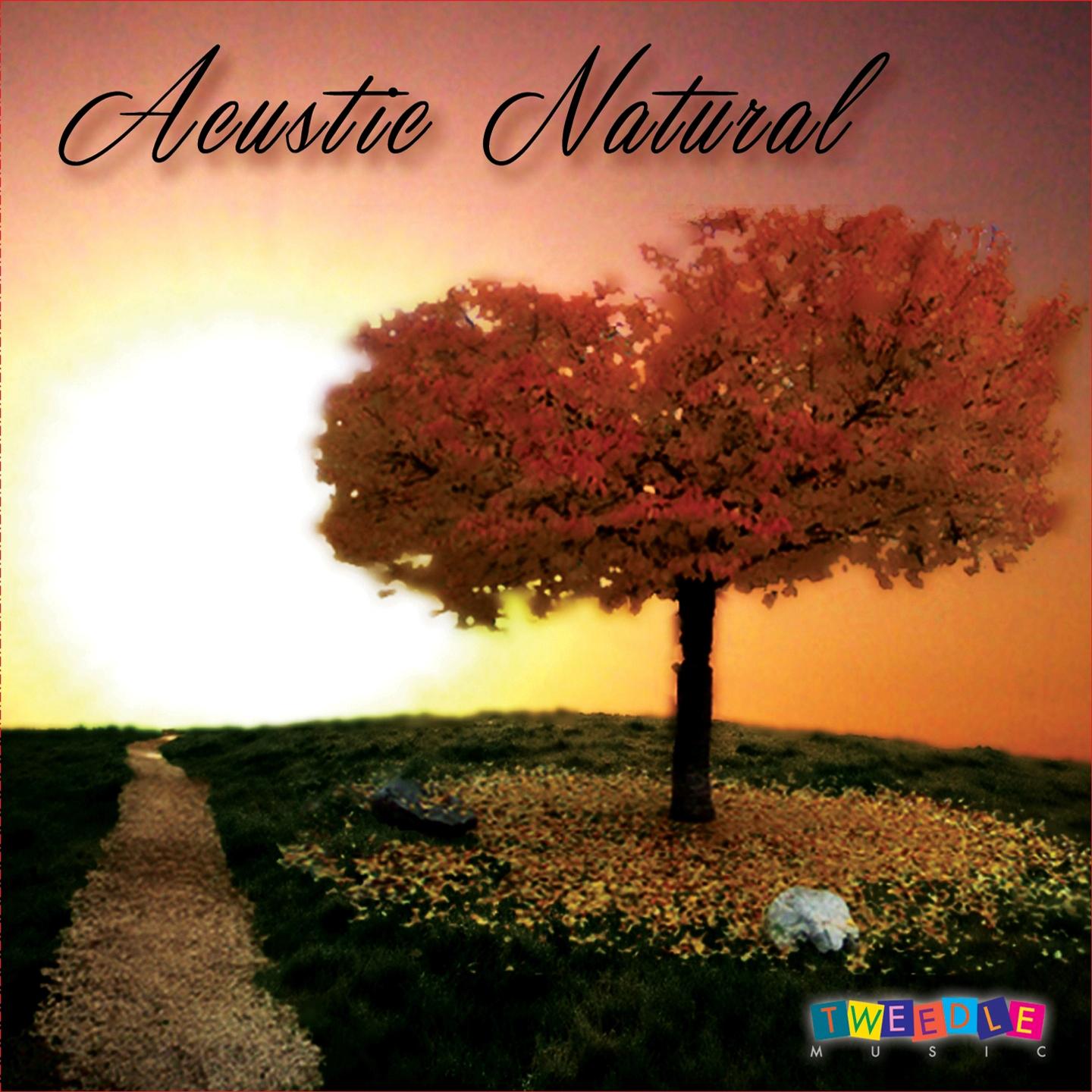 Acustic Natural