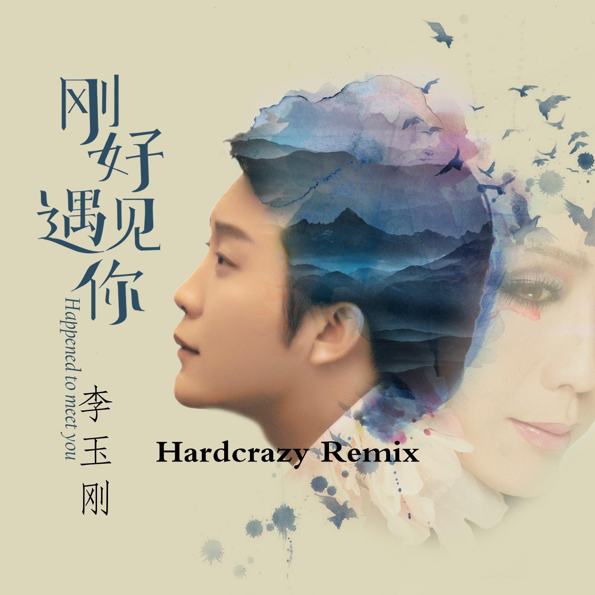 gang hao yu jian ni Remix