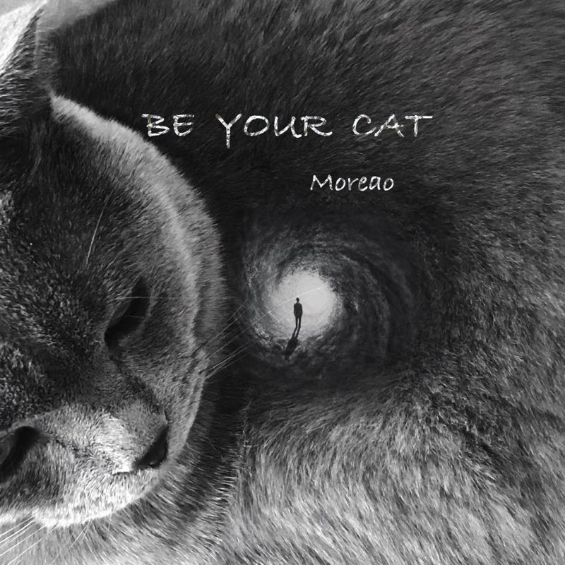 Be  your  cat