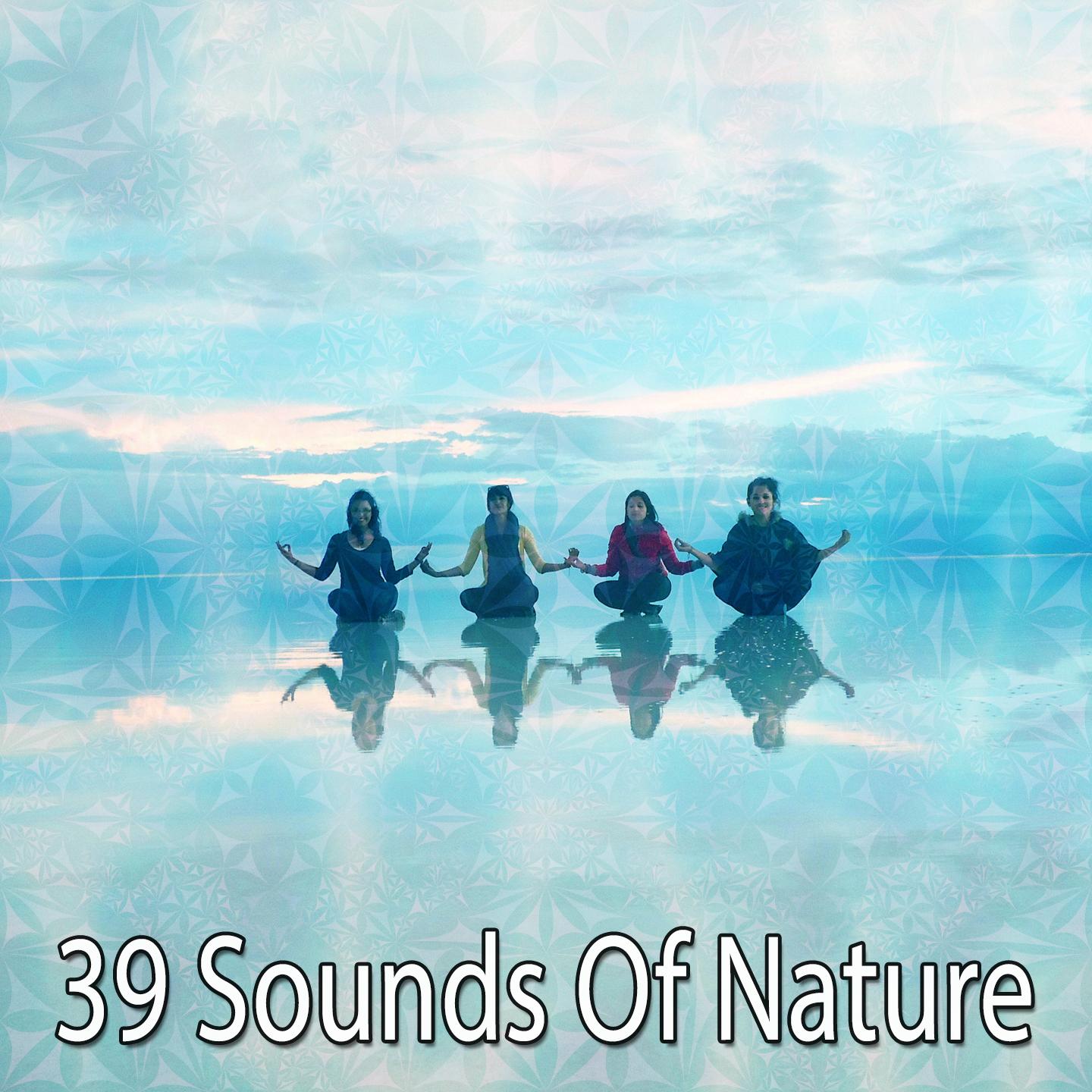 39 Sounds Of Nature