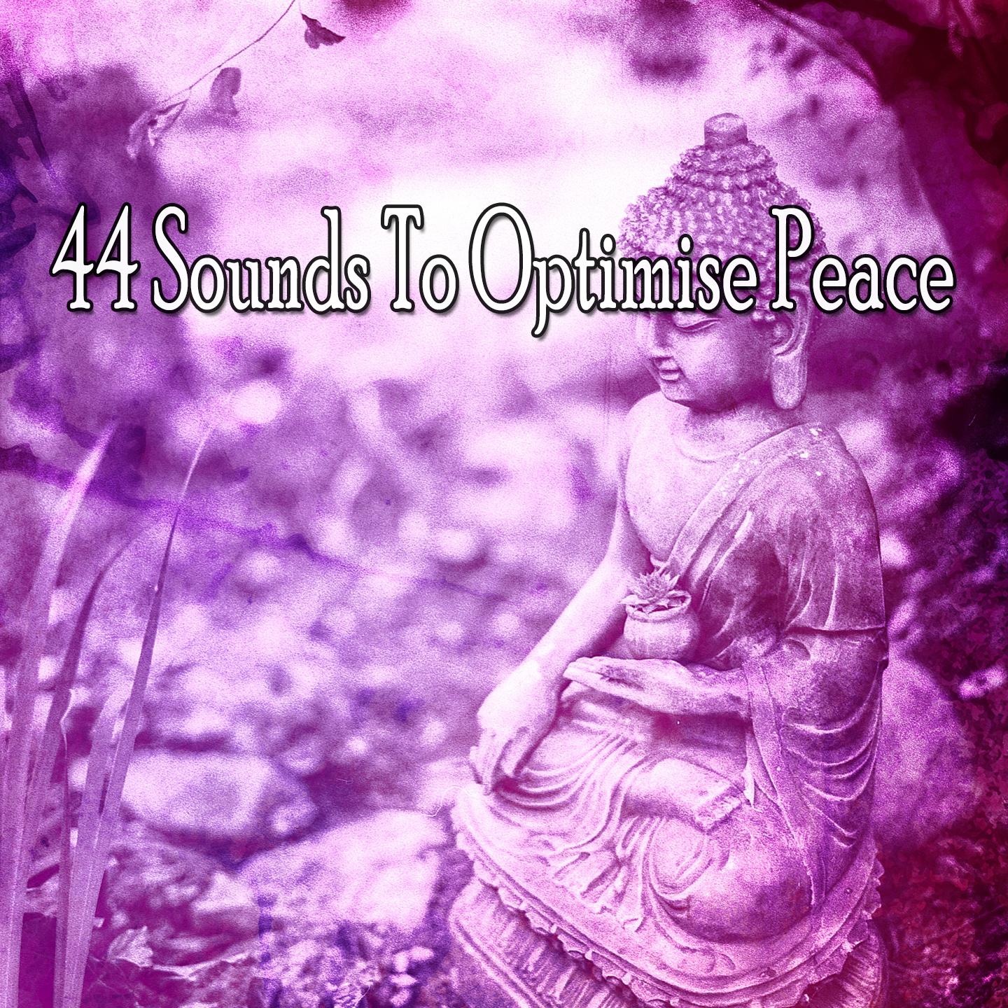 44 Sounds To Optimise Peace