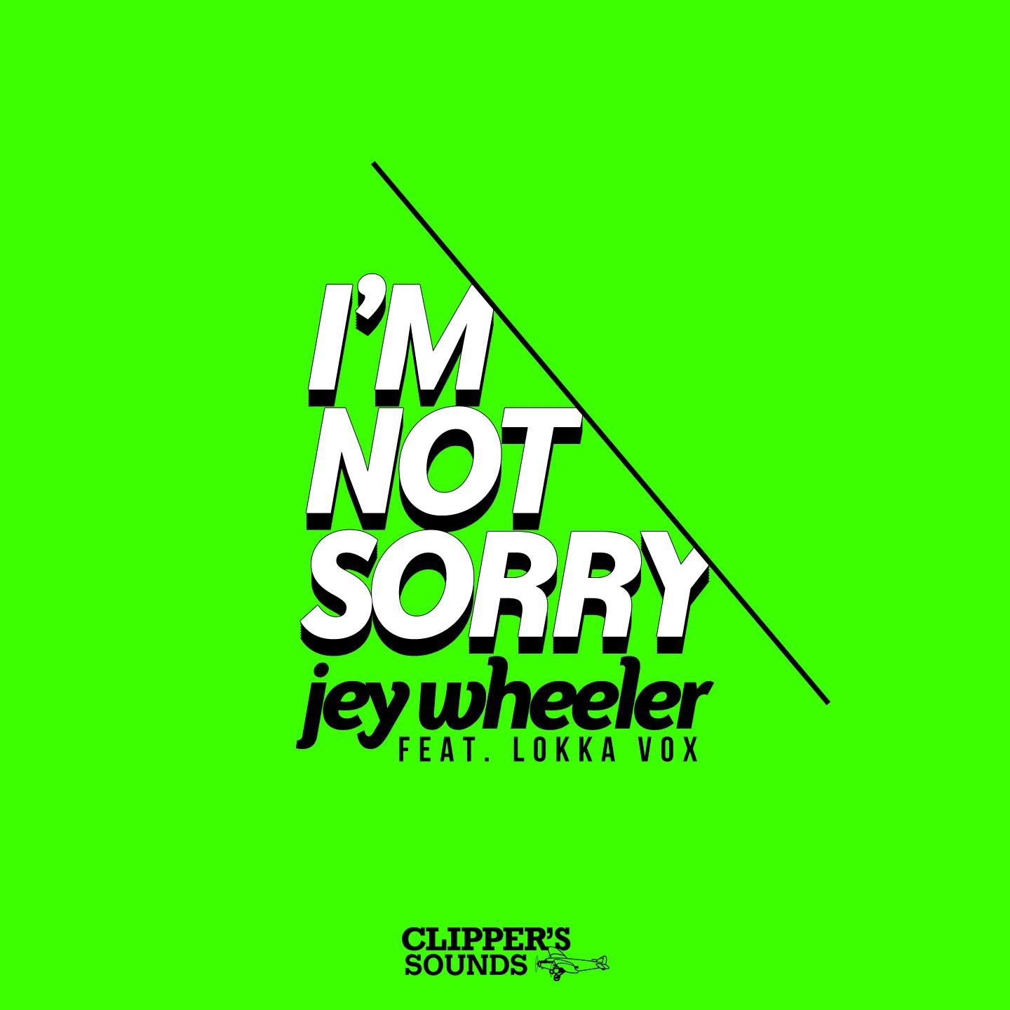 I'm Not Sorry (Radio Edit)