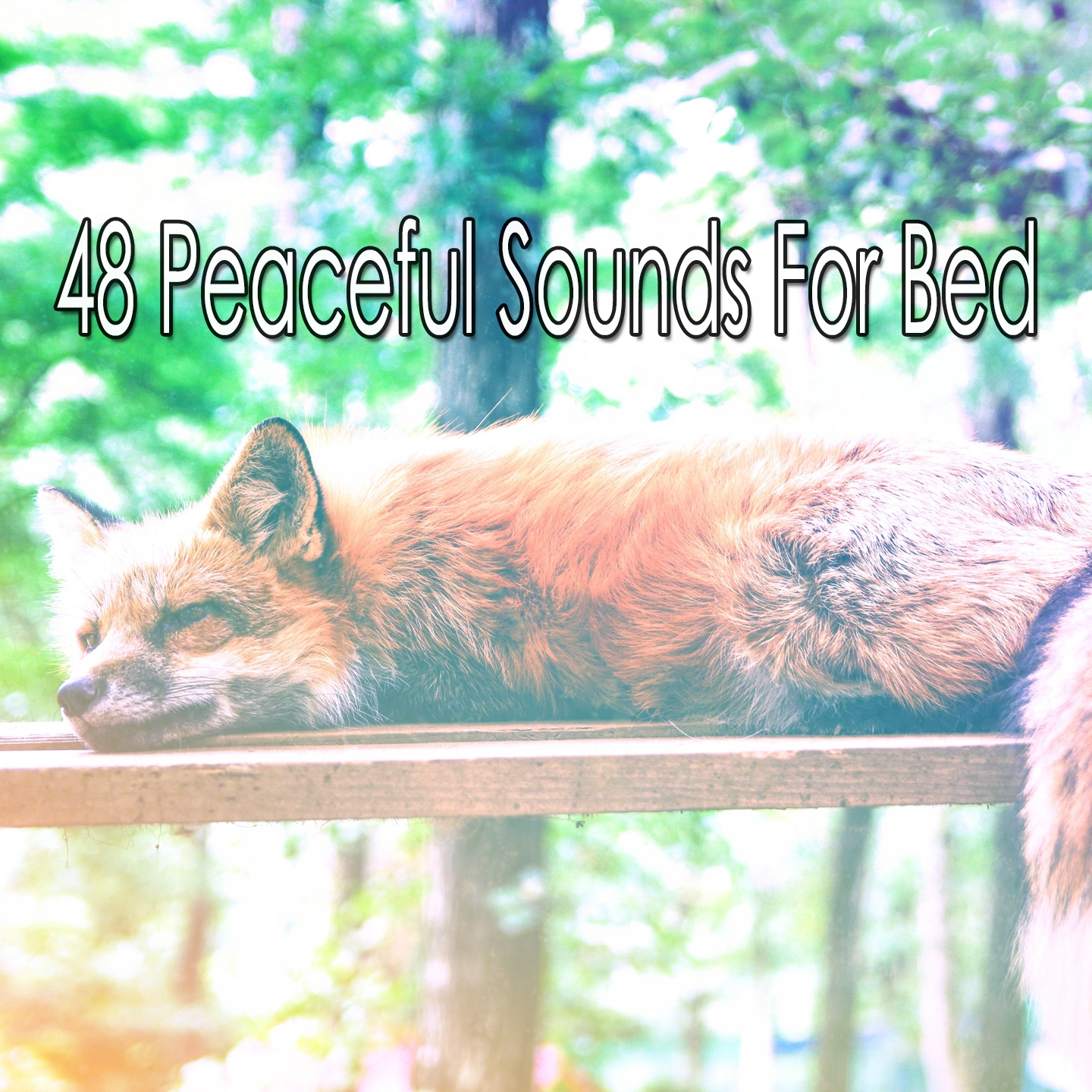48 Peaceful Sounds For Bed
