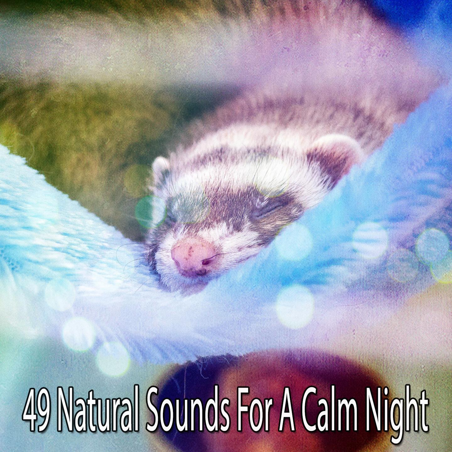 49 Natural Sounds For A Calm Night