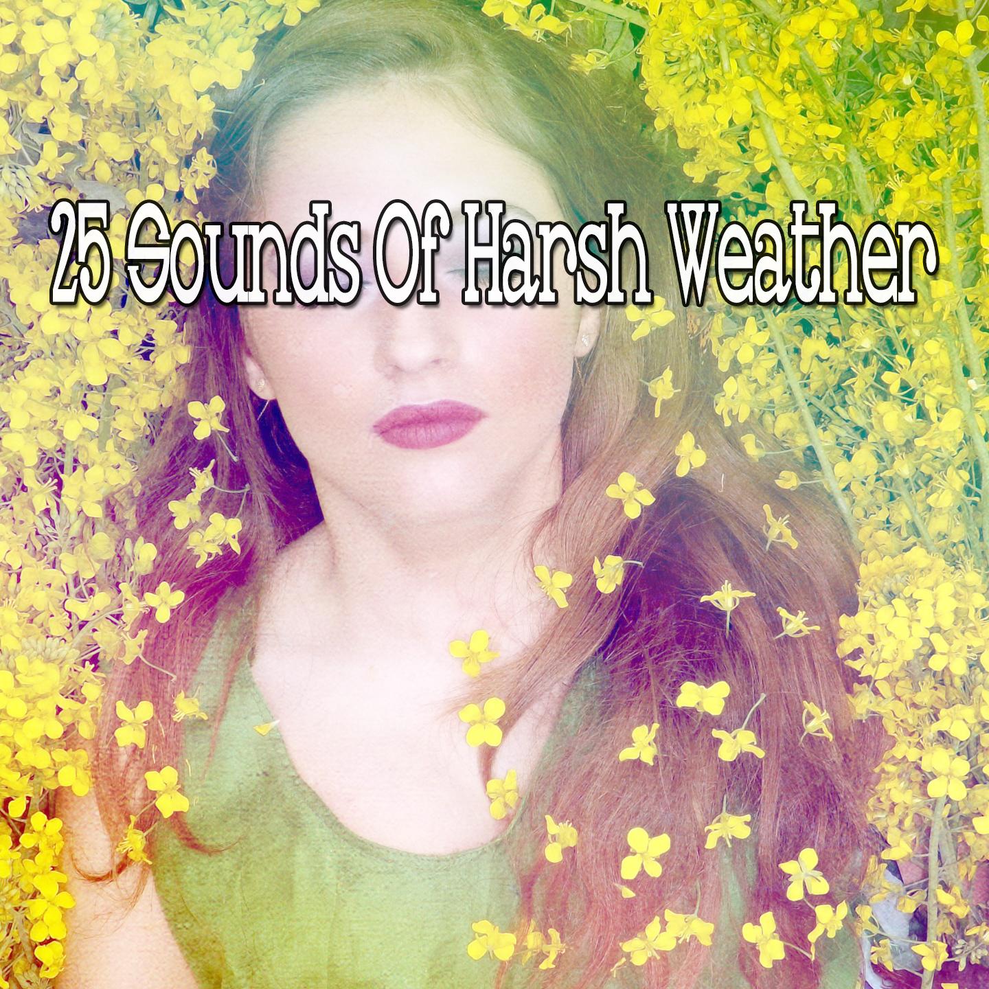 25 Sounds Of Harsh Weather