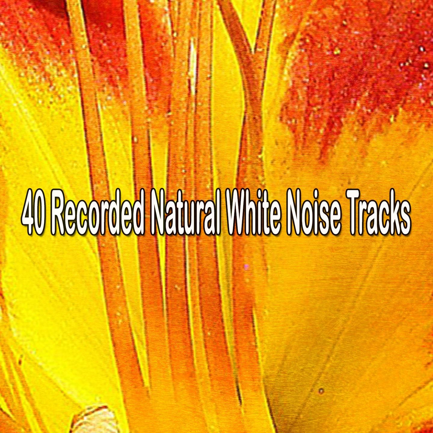 40 Recorded Natural White Noise Tracks