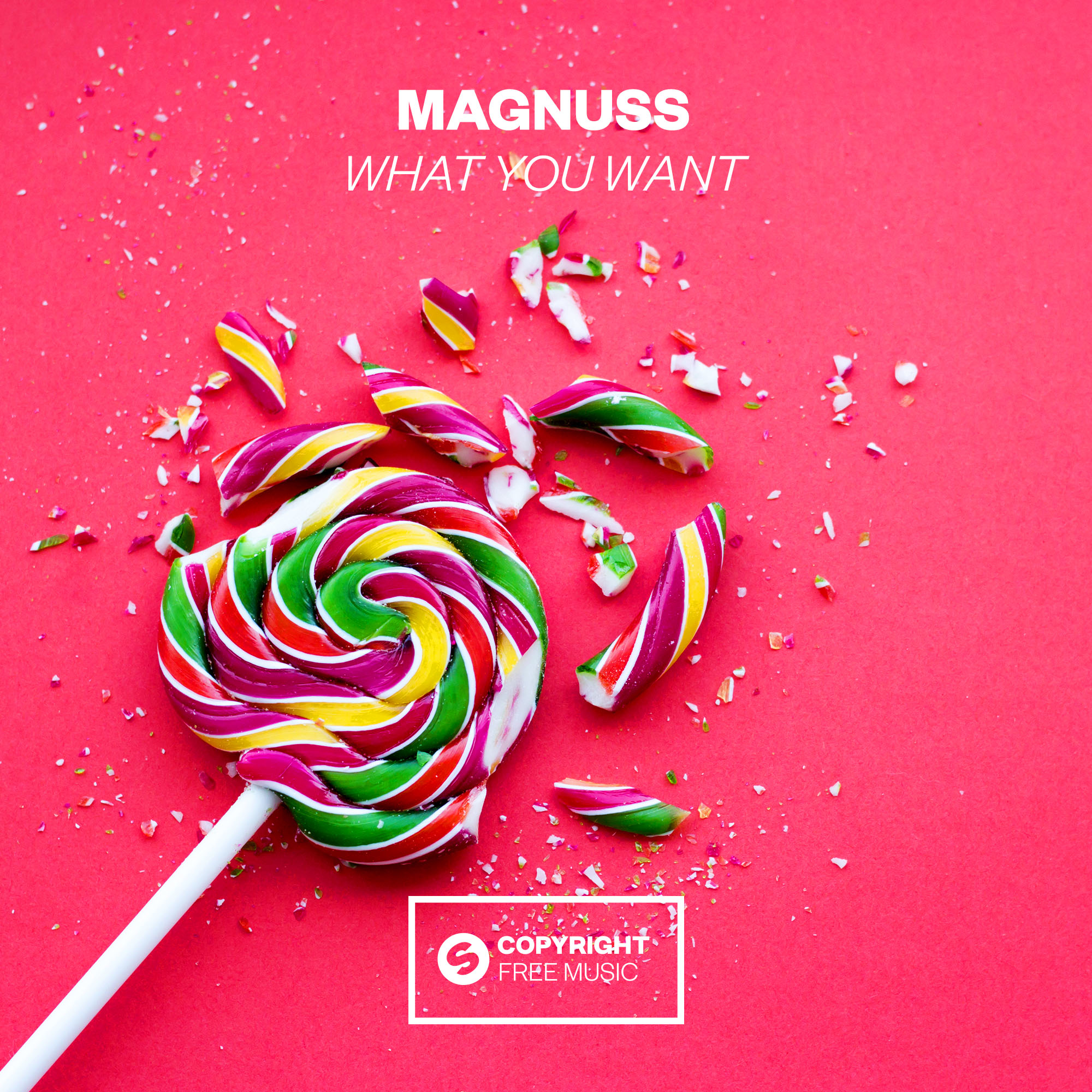 What You Want (Extended Mix)