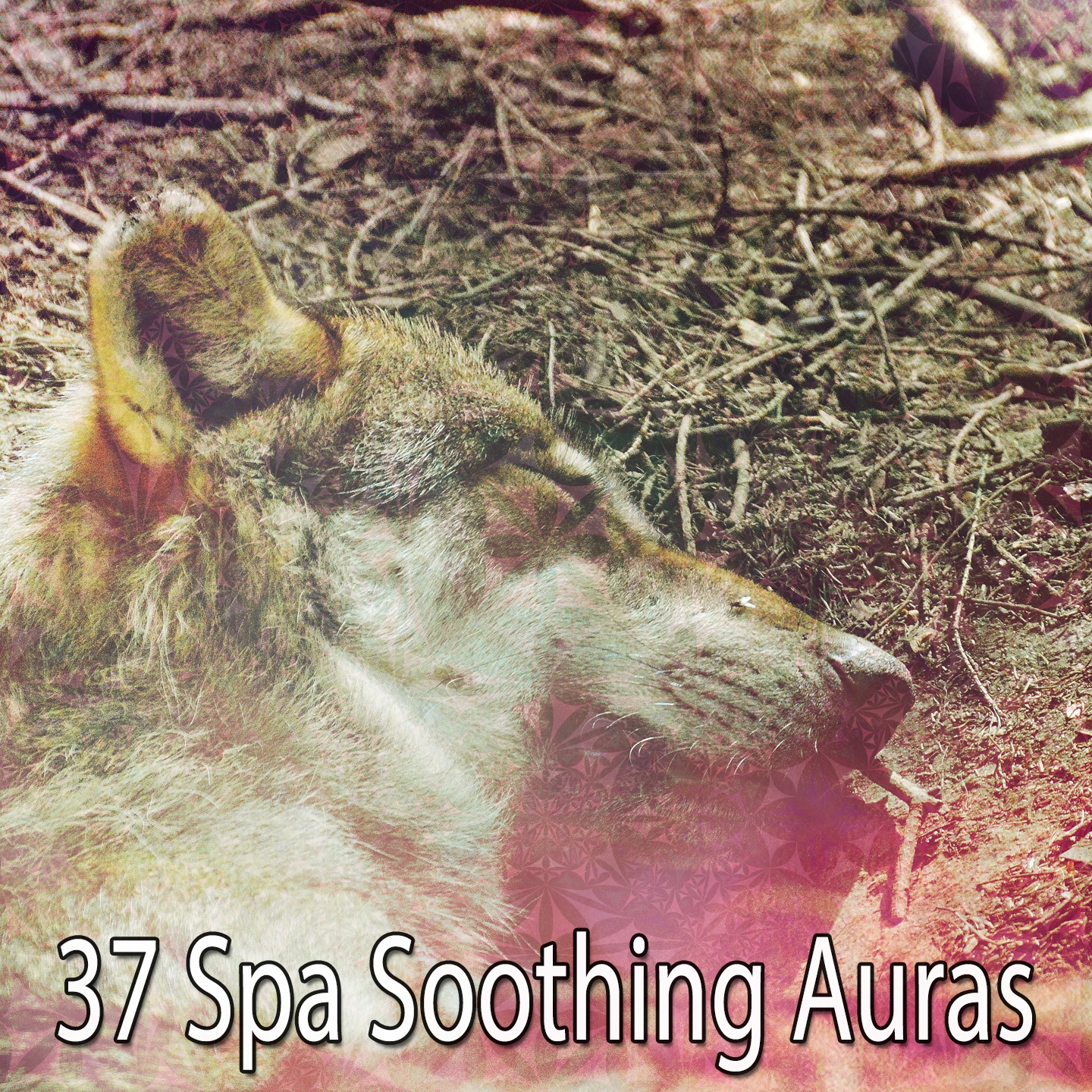 37 Spa Soothing Auras