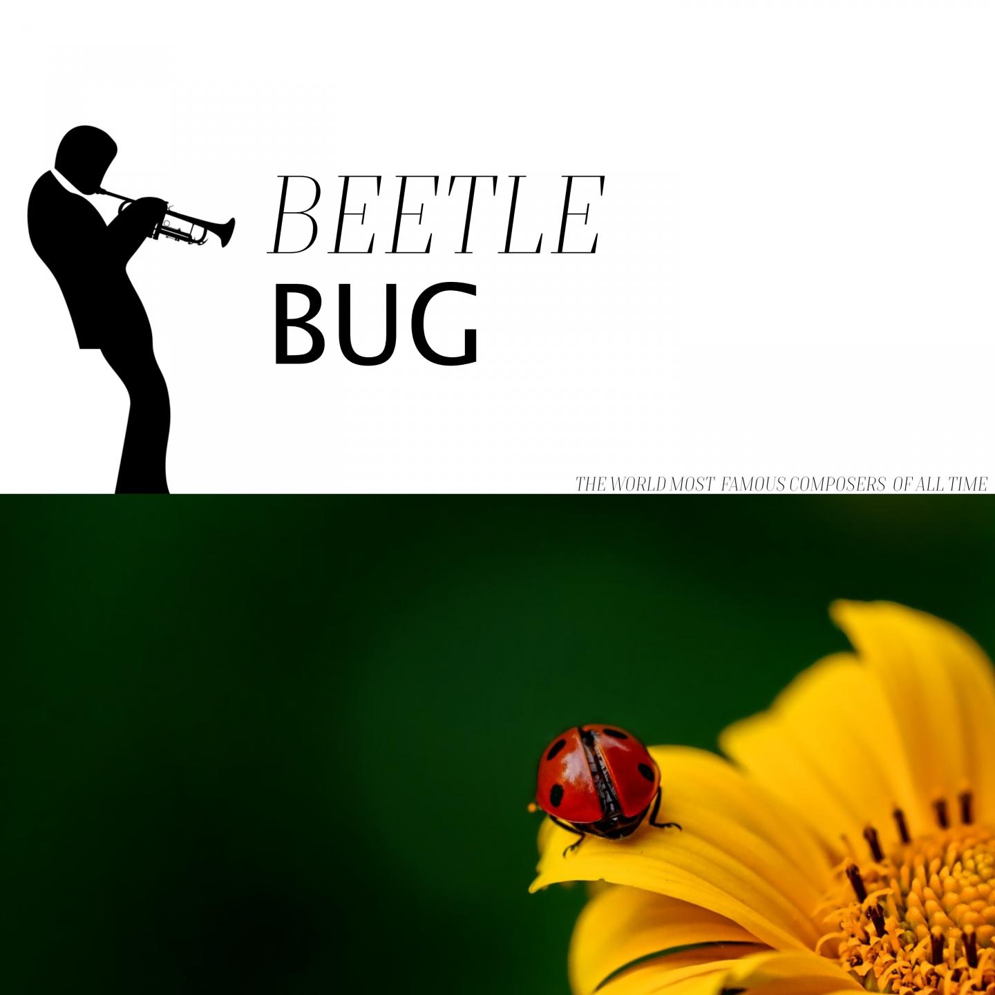 Beetle Bug