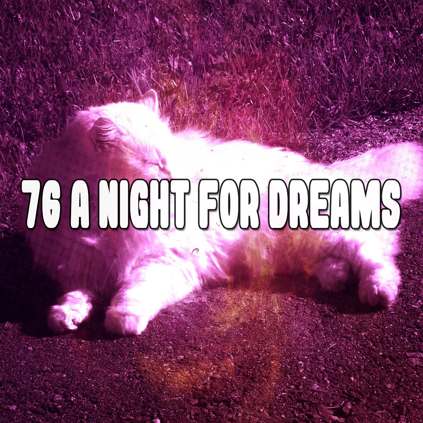 76 A Night For Dreams