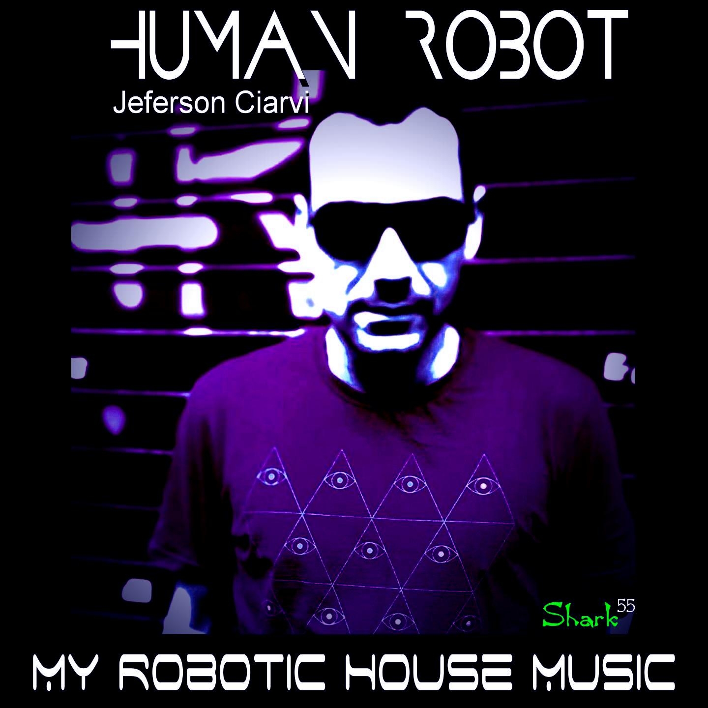 My Robotic House