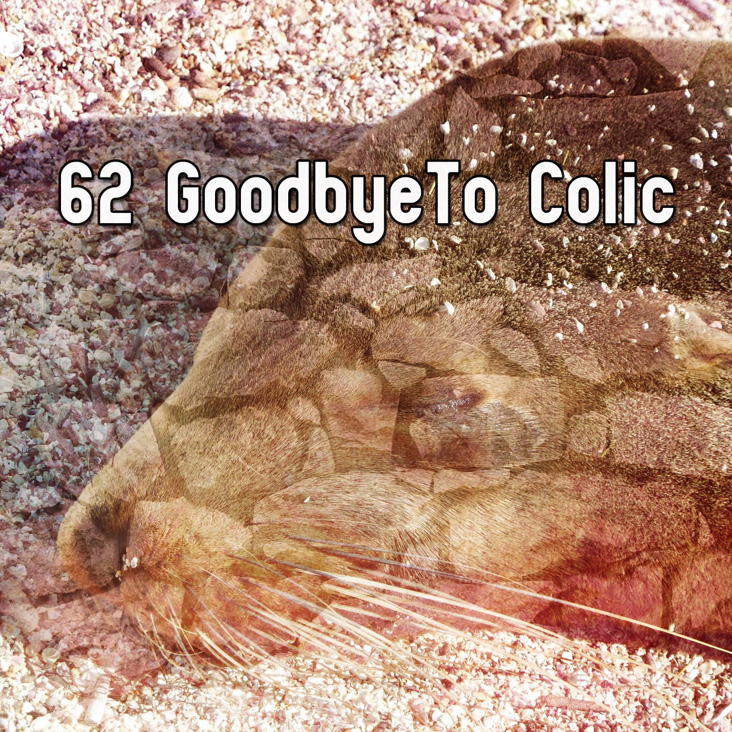 62 GoodbyeTo Colic