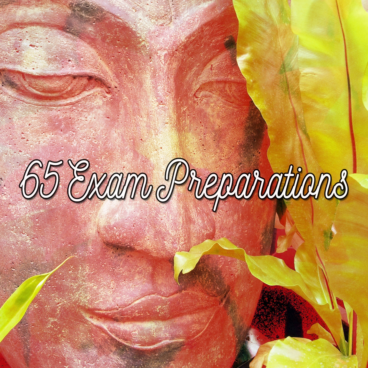 65 Exam Preparations