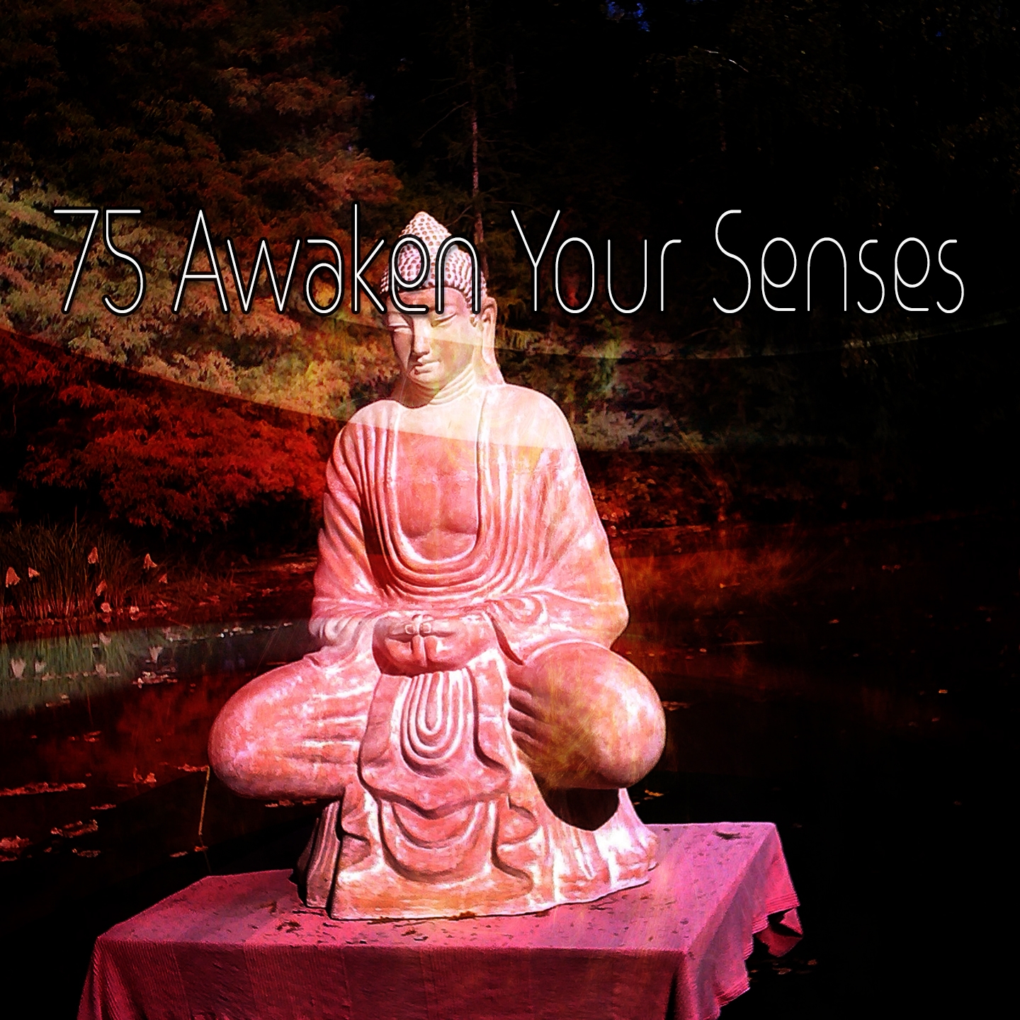 75 Awaken Your Senses
