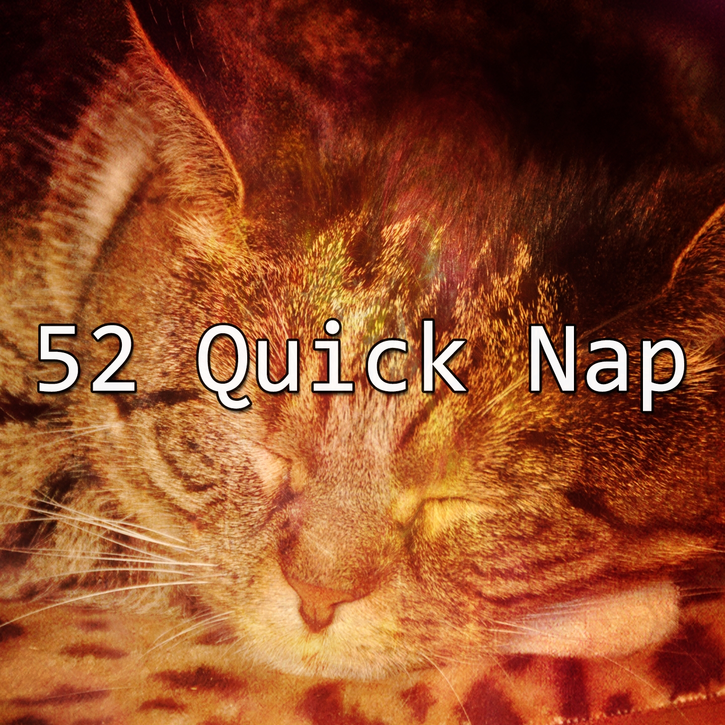 52 Quick Nap