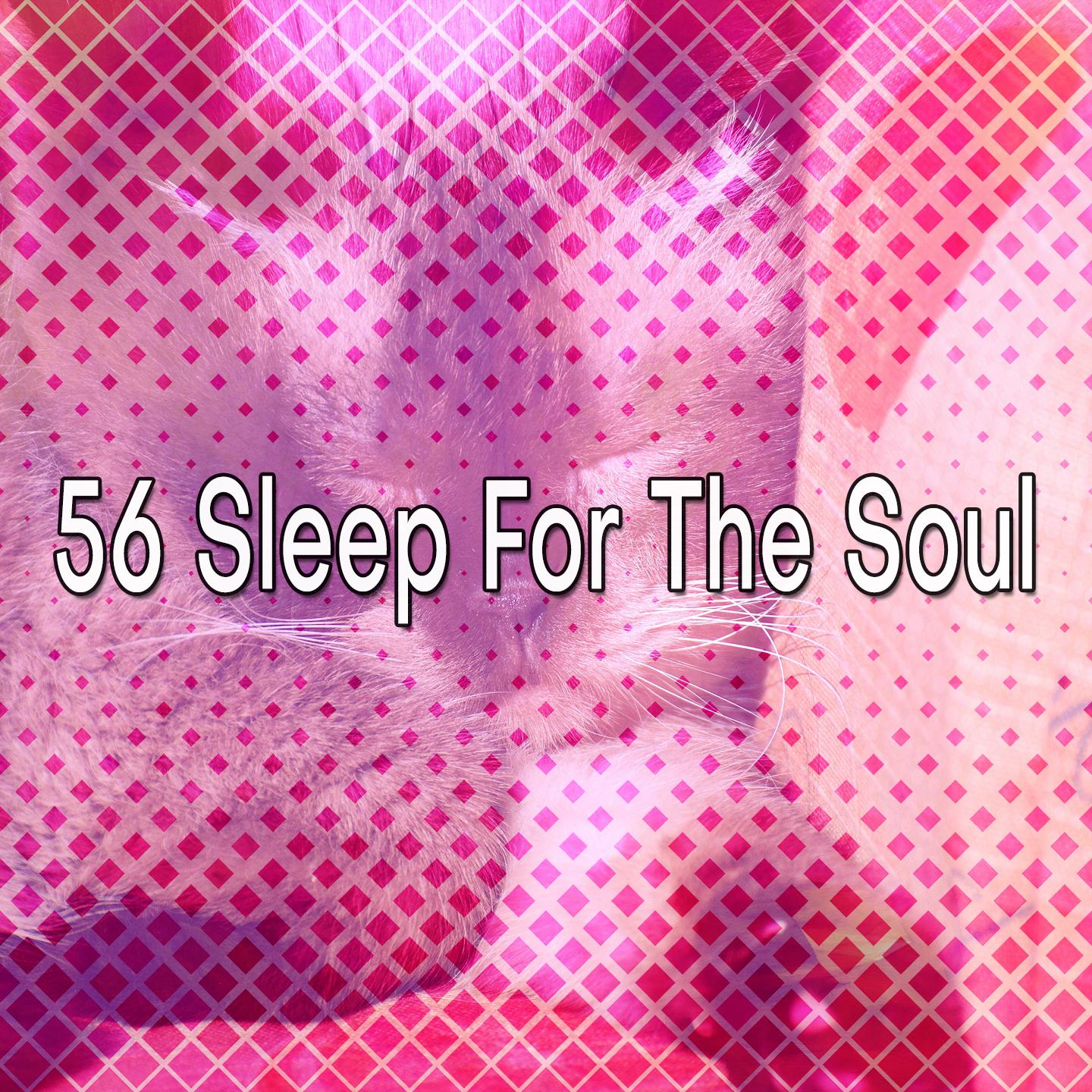 56 Sleep For The Soul