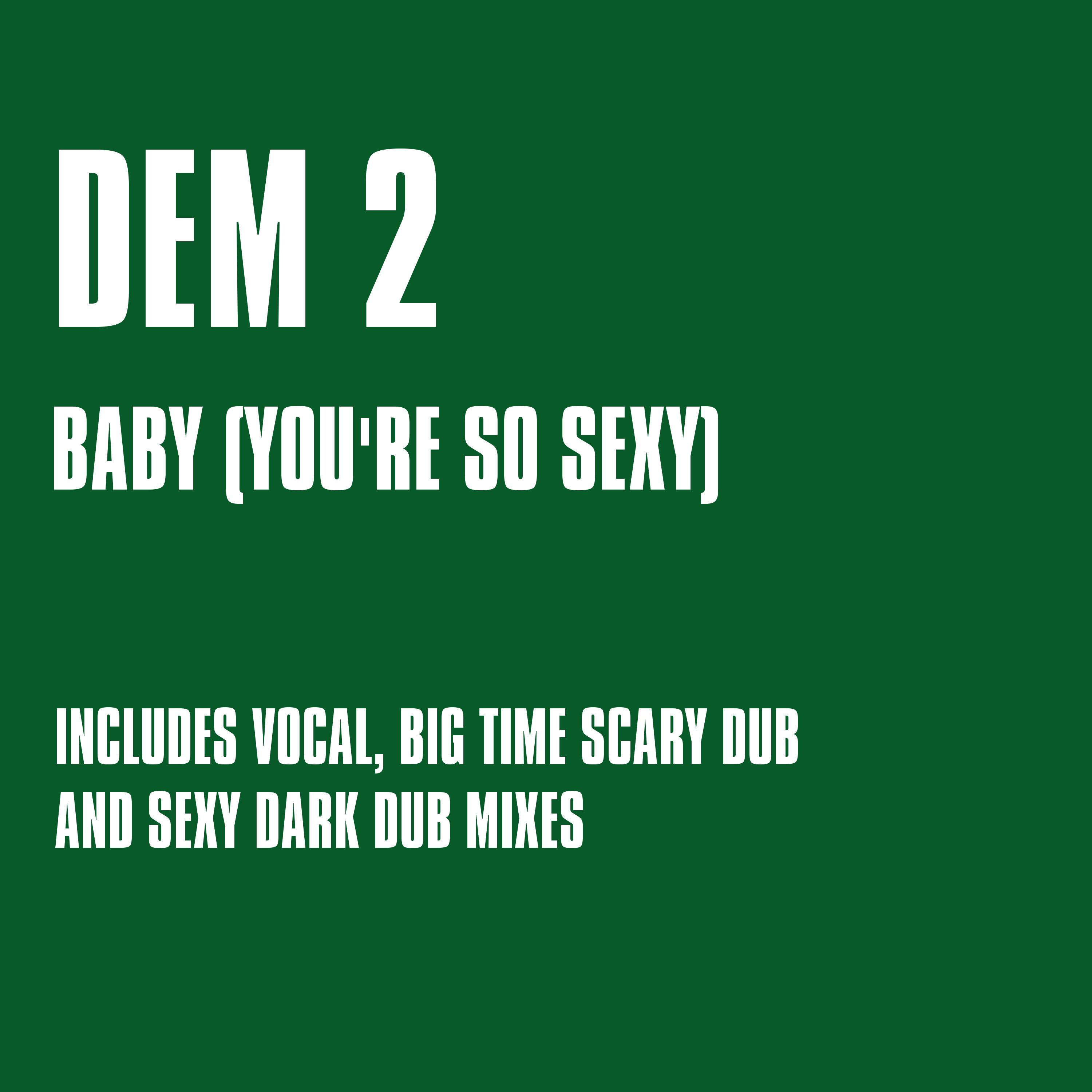 Baby (You're so ****) (Vocal Mix)