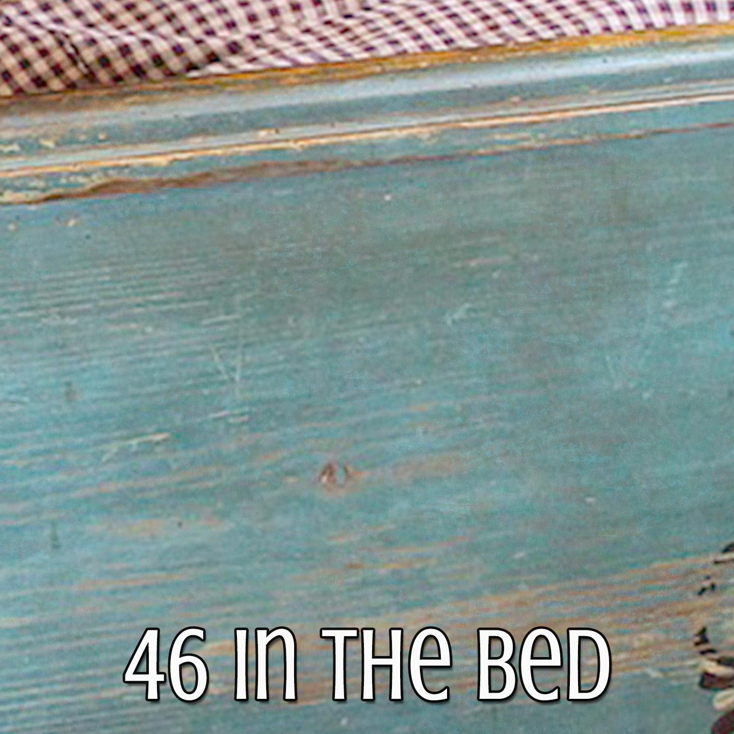 46 In The Bed
