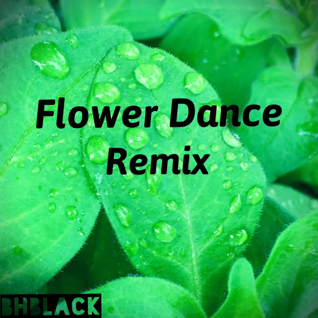 Flower Dance (BHblack remix)